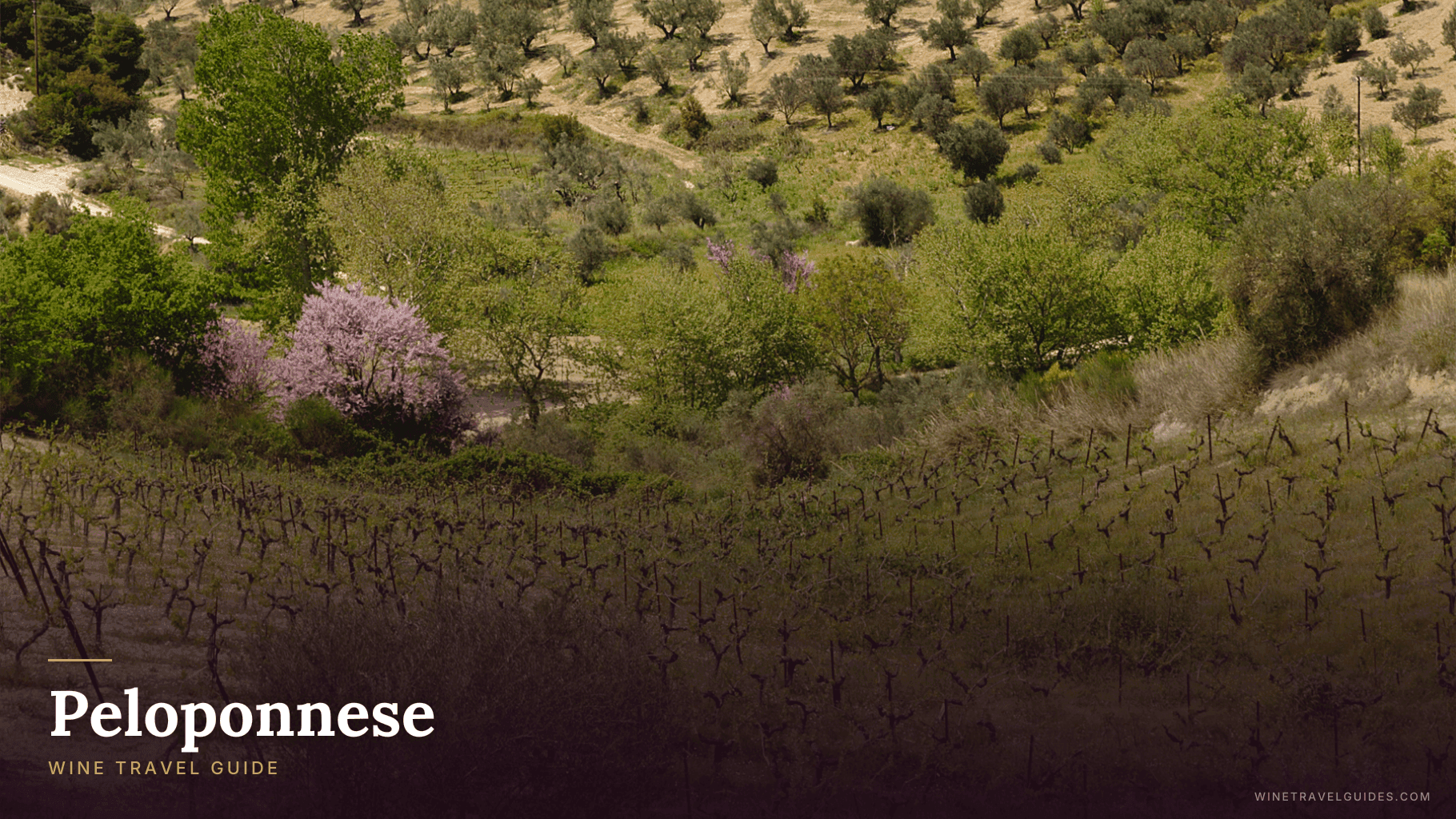 Peloponnese (Greece)