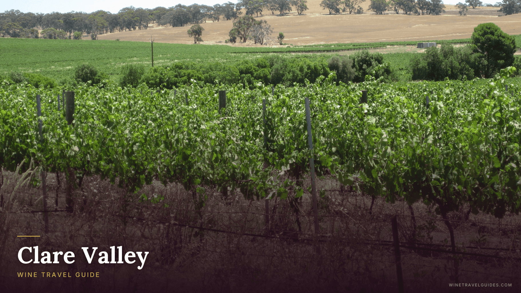 Clare Valley Wine Travel Guide (South Australia, Australia)