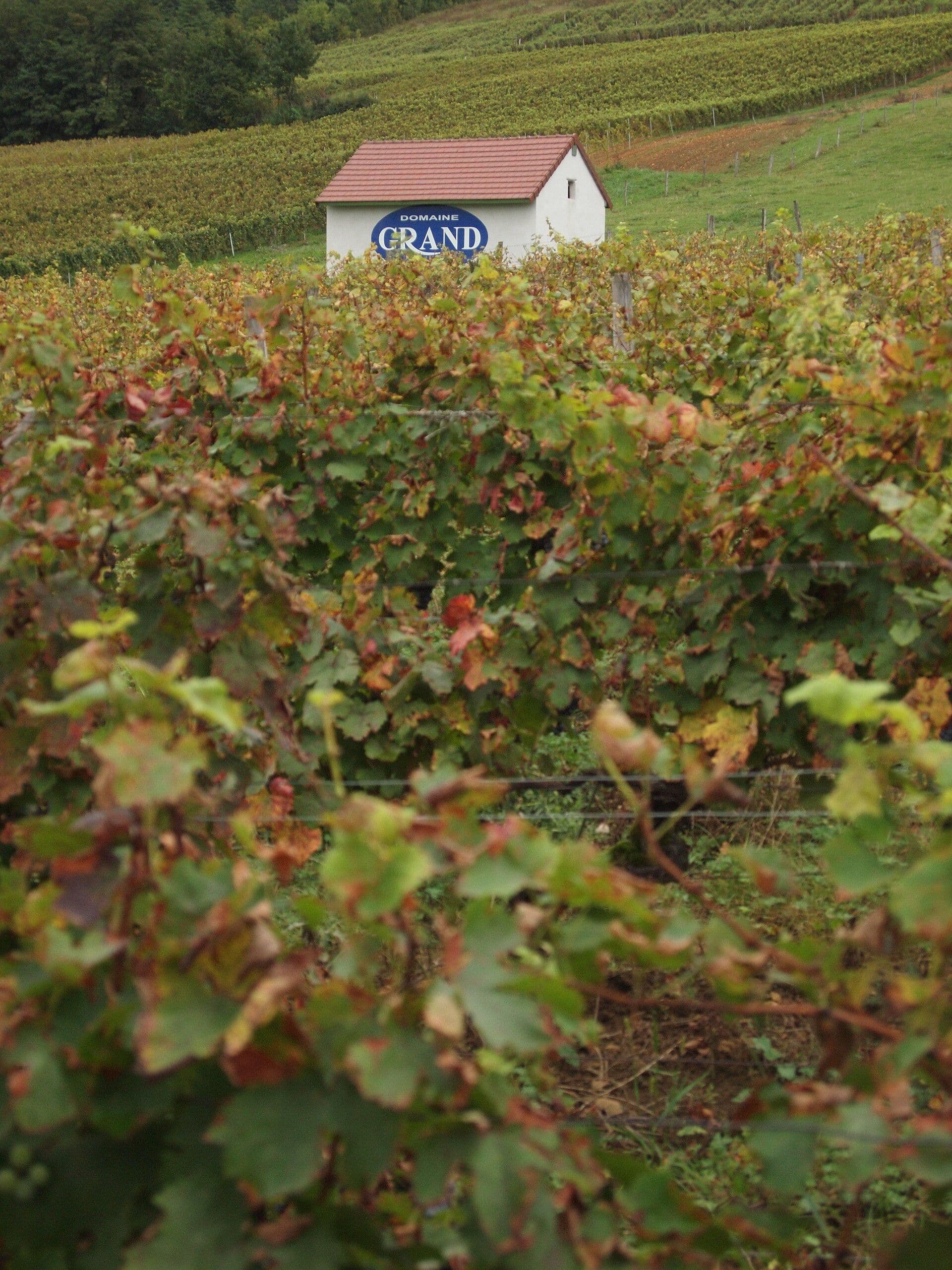 Jura (France)