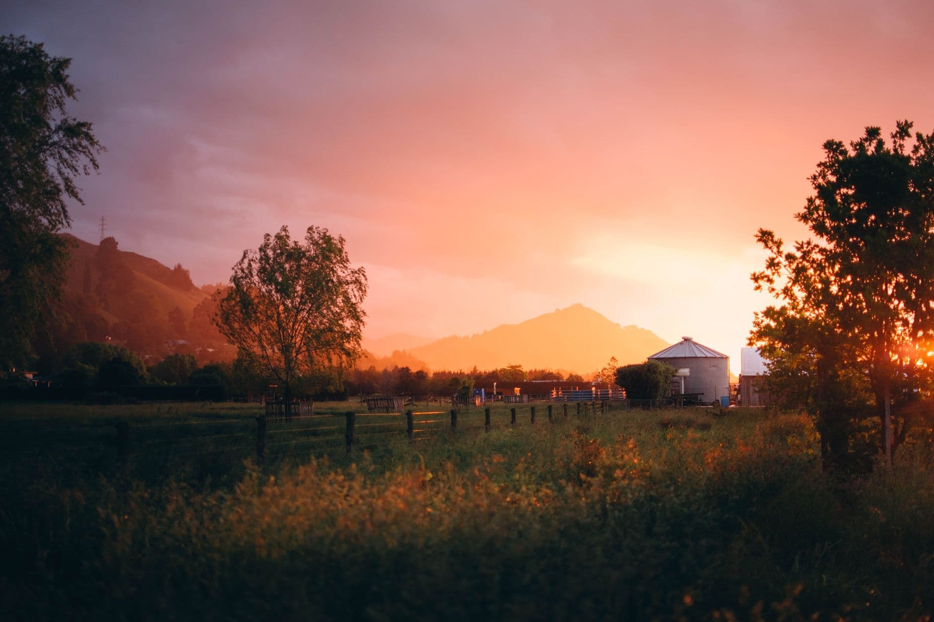 Nelson Wine Travel Guide (South Island, New Zealand)
