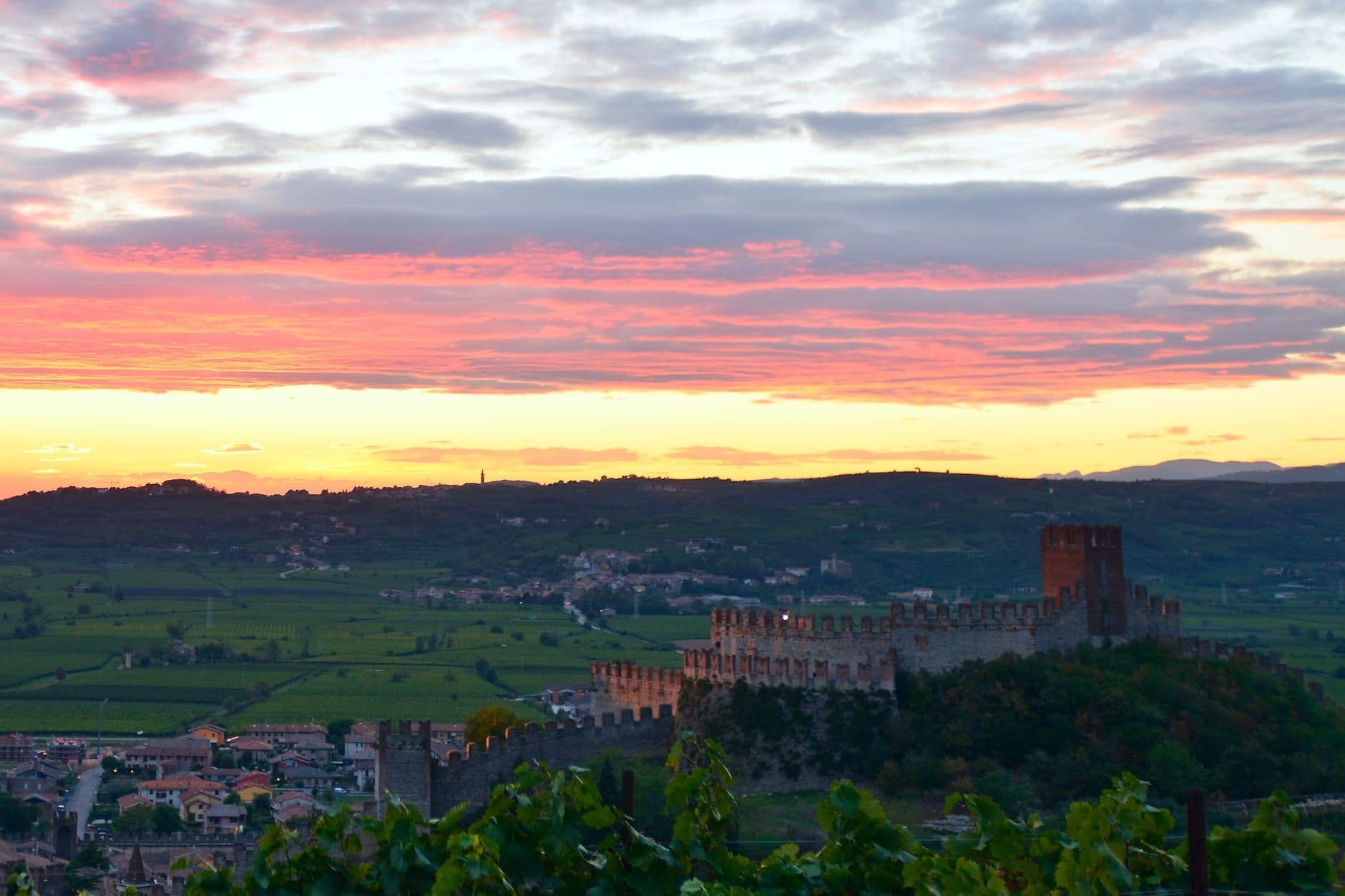 Soave Wine Travel Guide (Veneto, Italy)