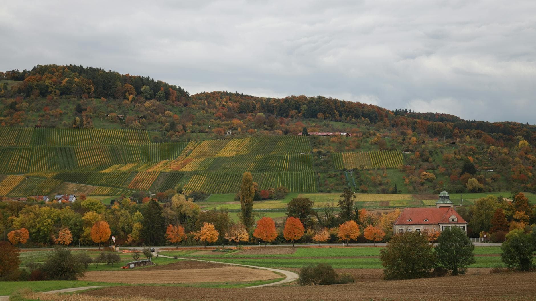 Where to Stay in Rhone Valley Wine Country: Complete 2026 Guide