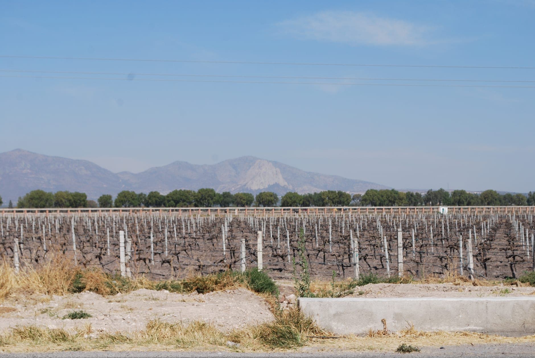 Cava Wine Travel Guide (Catalonia, Spain)