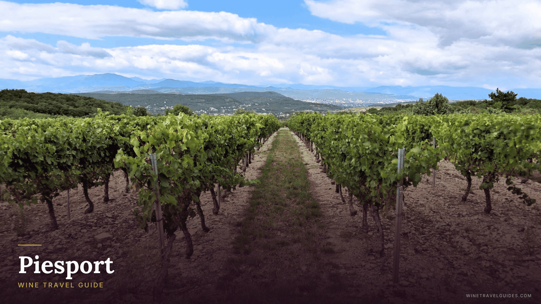 Piesport Wine Travel Guide (Mosel, Germany)