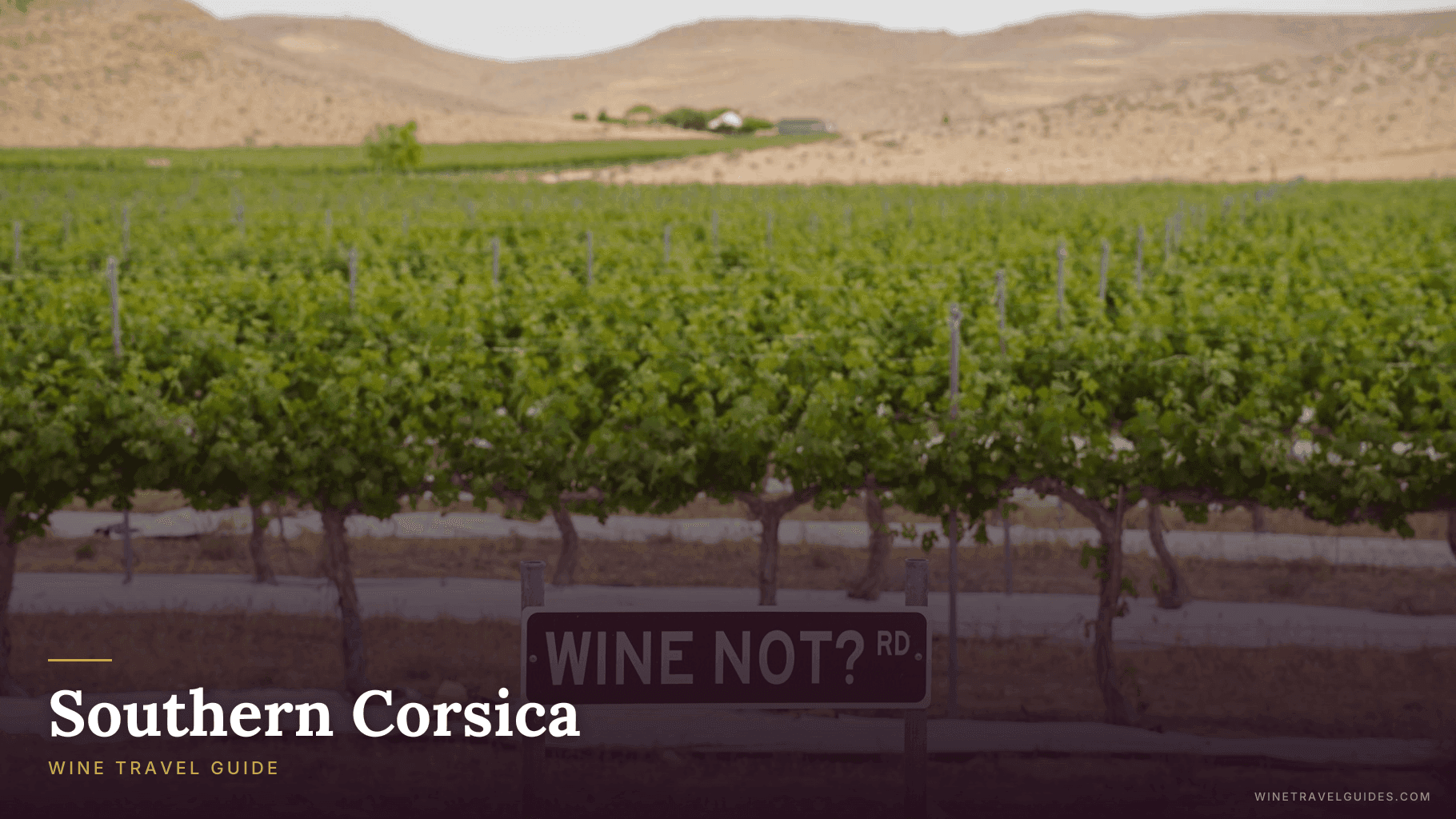 Southern Corsica Wine Travel Guide (Corsica, France)