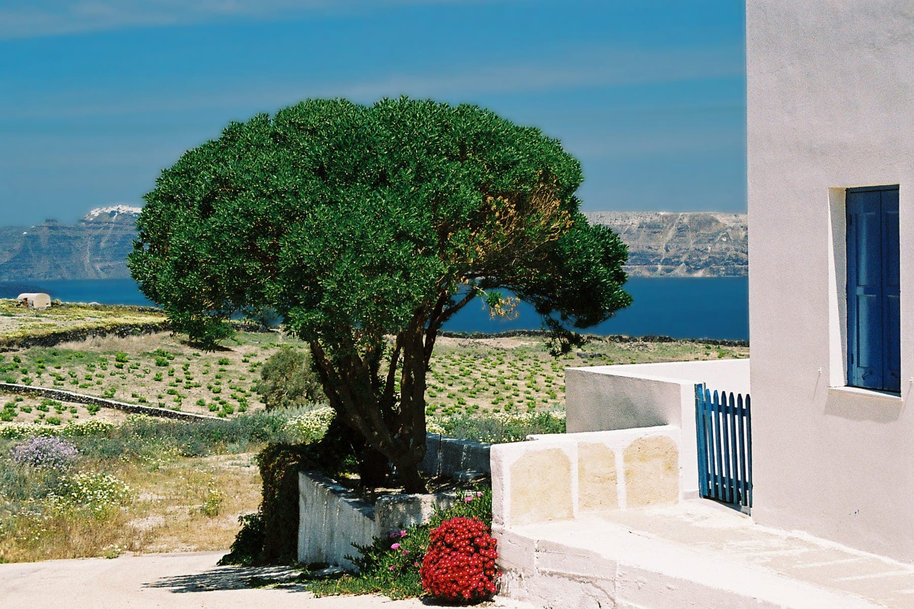 Aegean Islands (Greece)