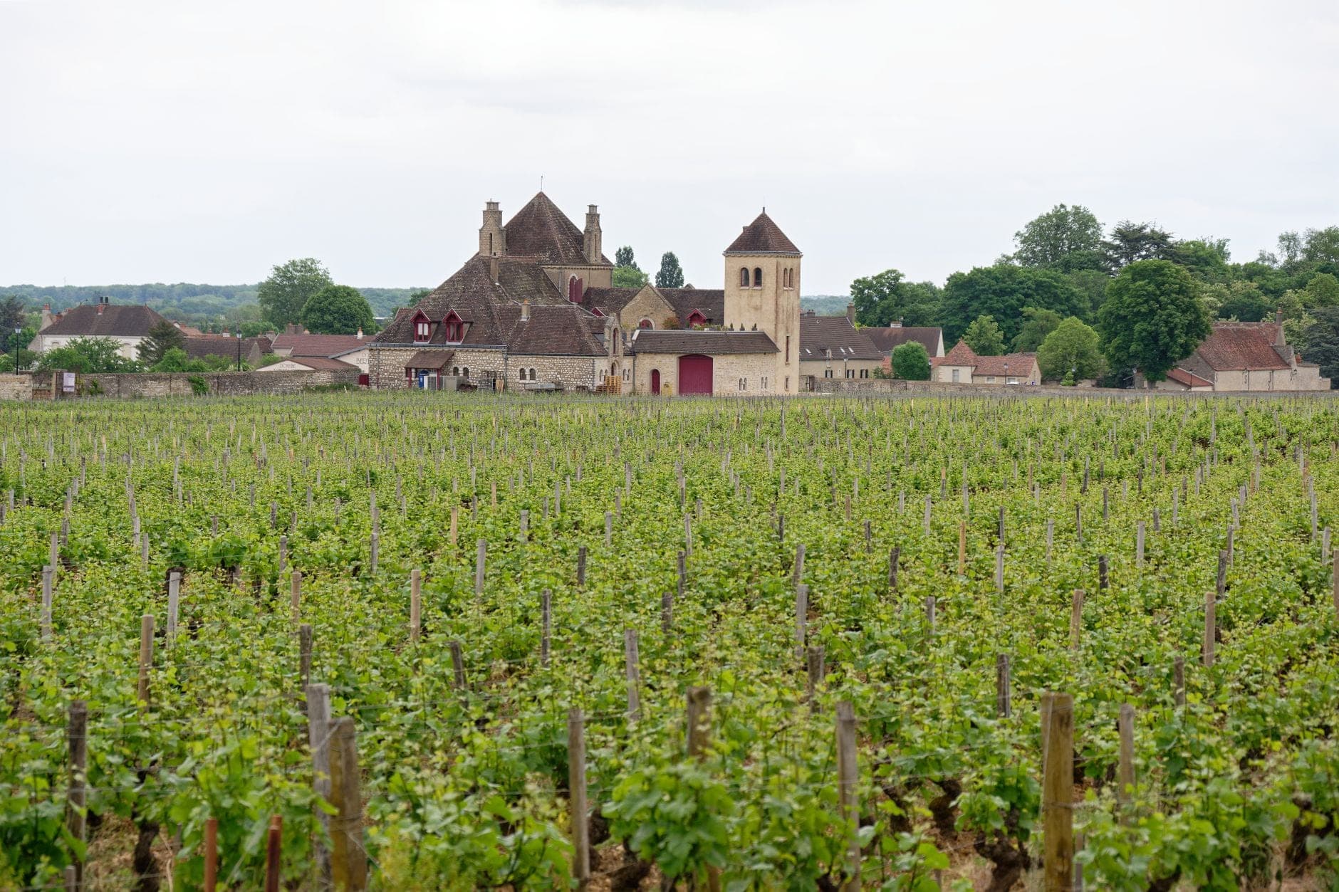 Dardagny Wine Travel Guide (Geneva, Switzerland)