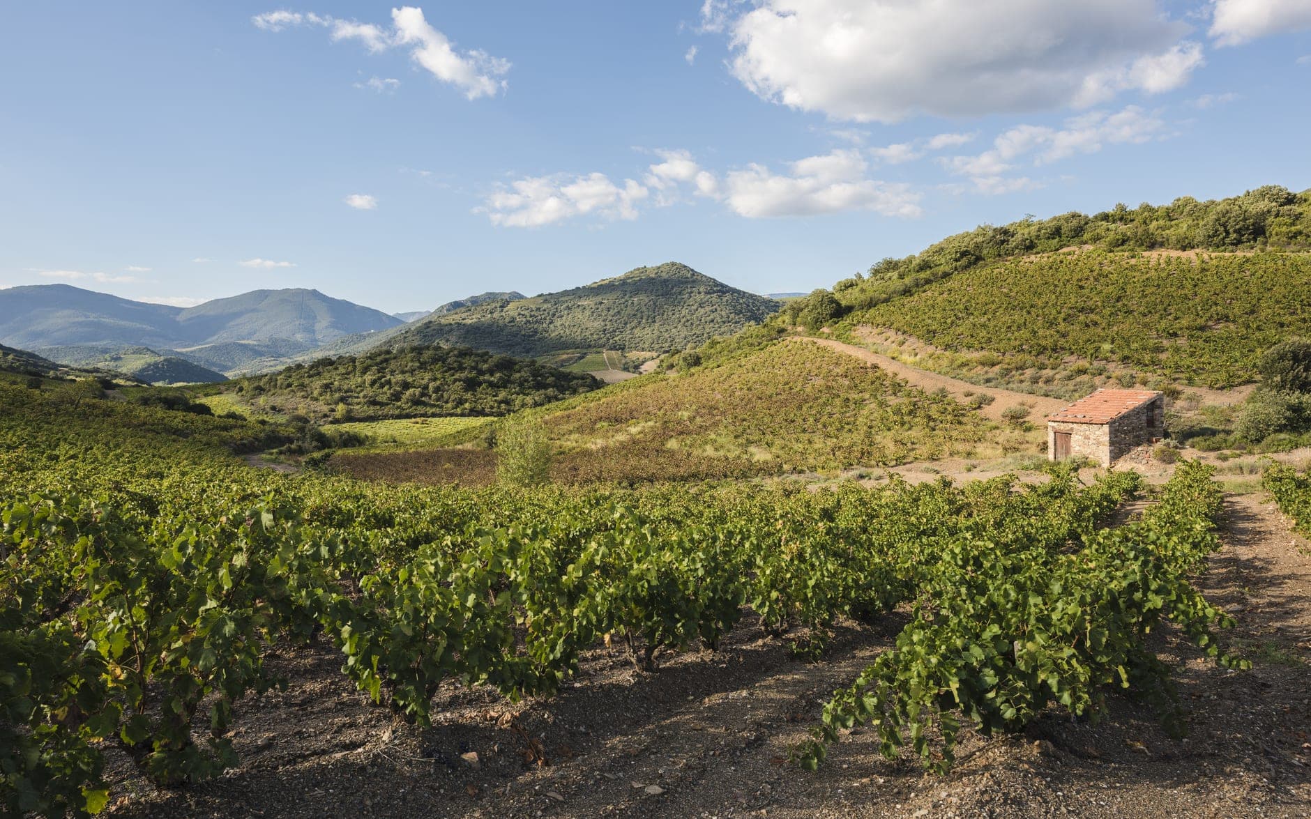 Valleys of the Tarn and Lot Wine Travel Guide (South-West France)