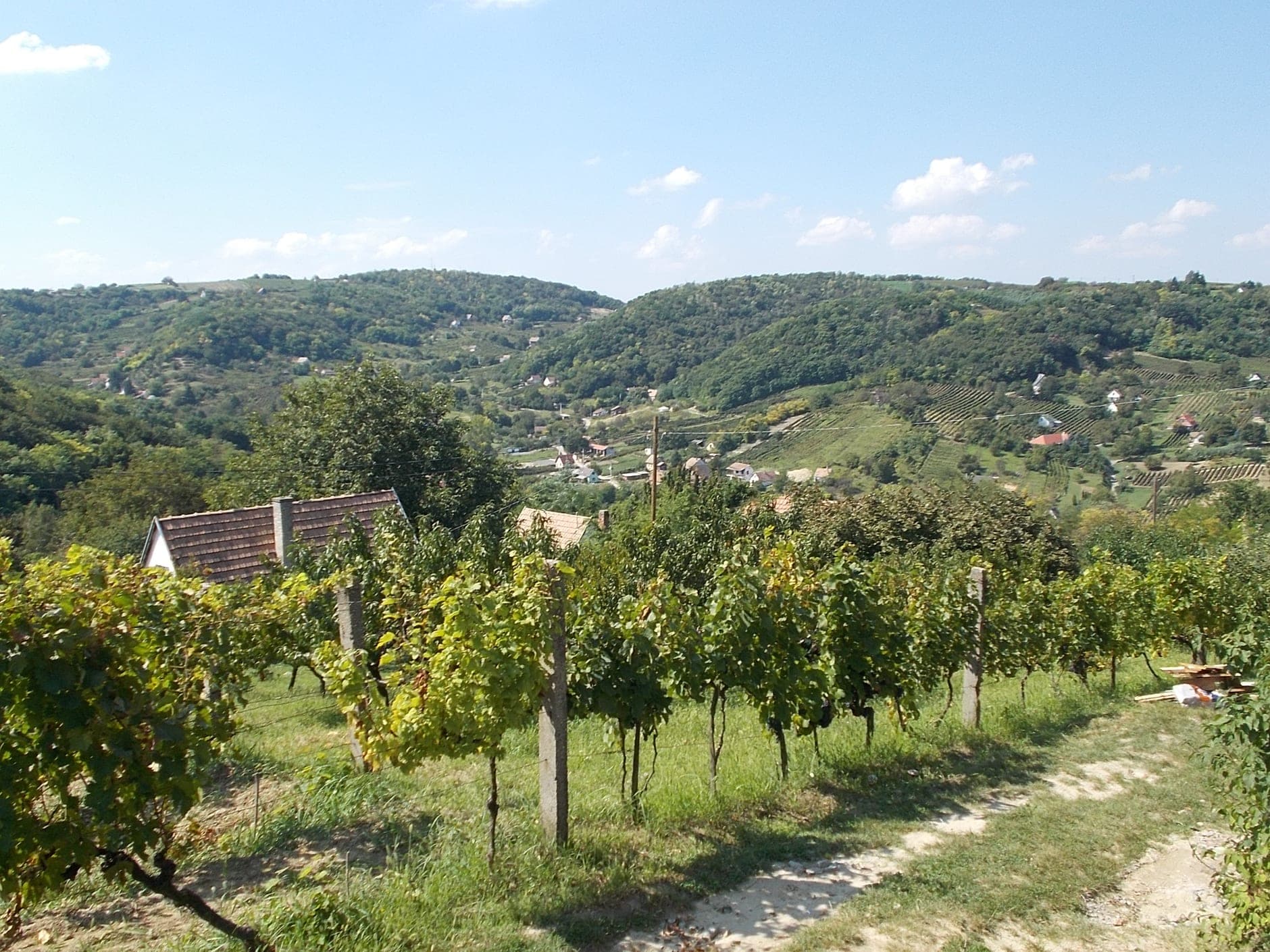 Szekszárd (Hungary)