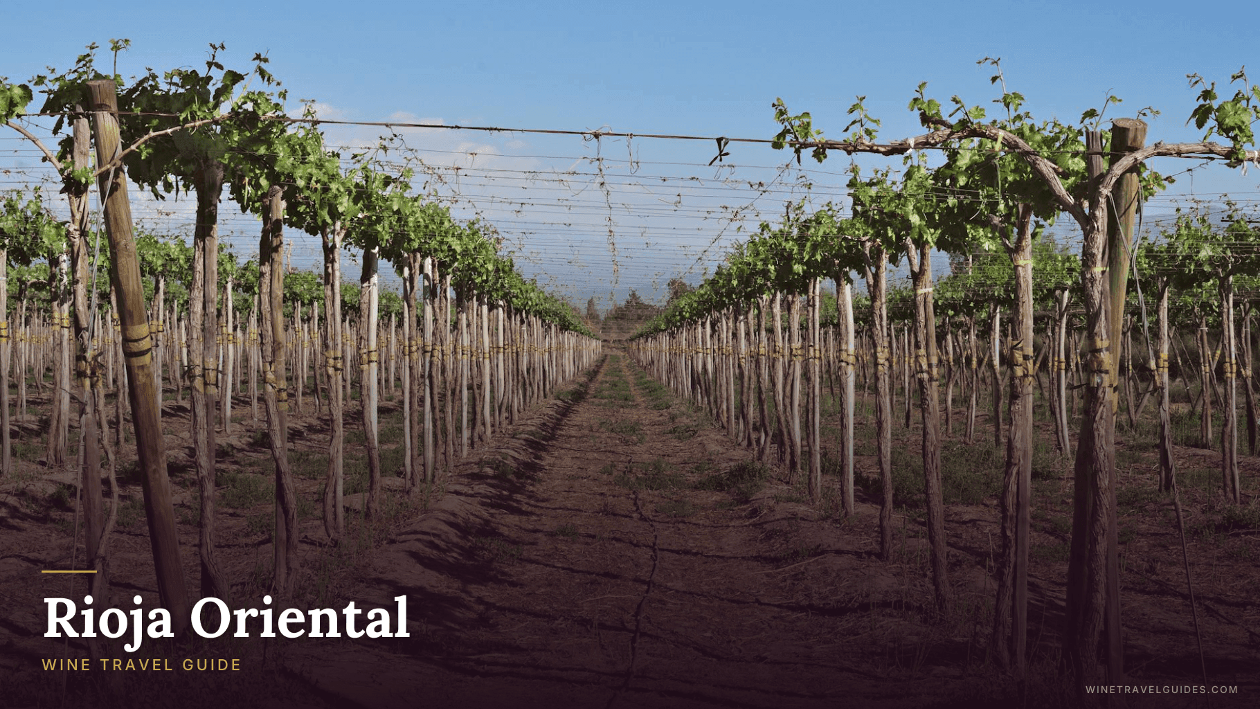 Rioja Oriental Wine Travel Guide (Rioja, Spain)