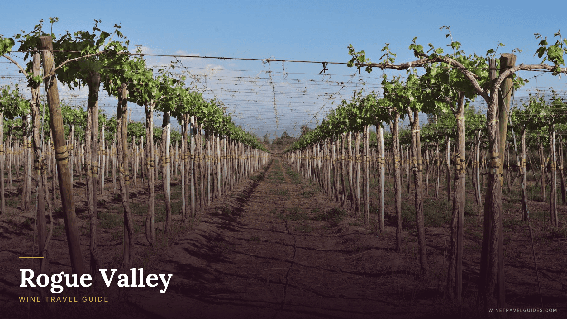 Rogue Valley Wine Travel Guide (Oregon, United States)