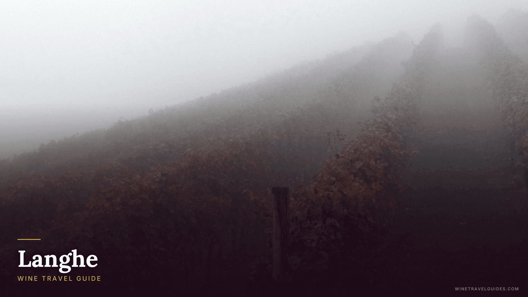 Langhe Wine Travel Guide (Piedmont, Italy)