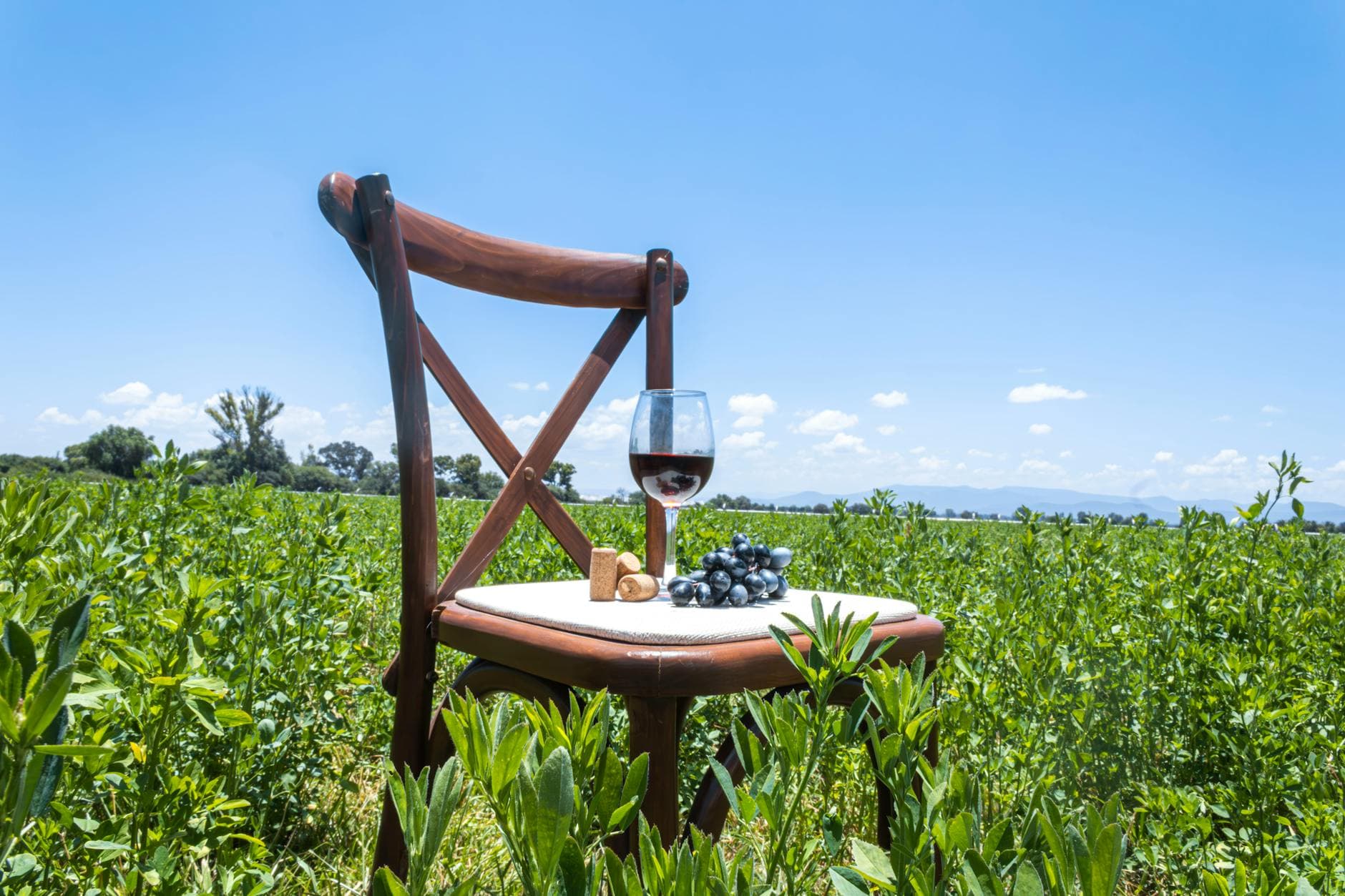 Where to Stay in Andalusia Wine Country: Complete 2026 Guide