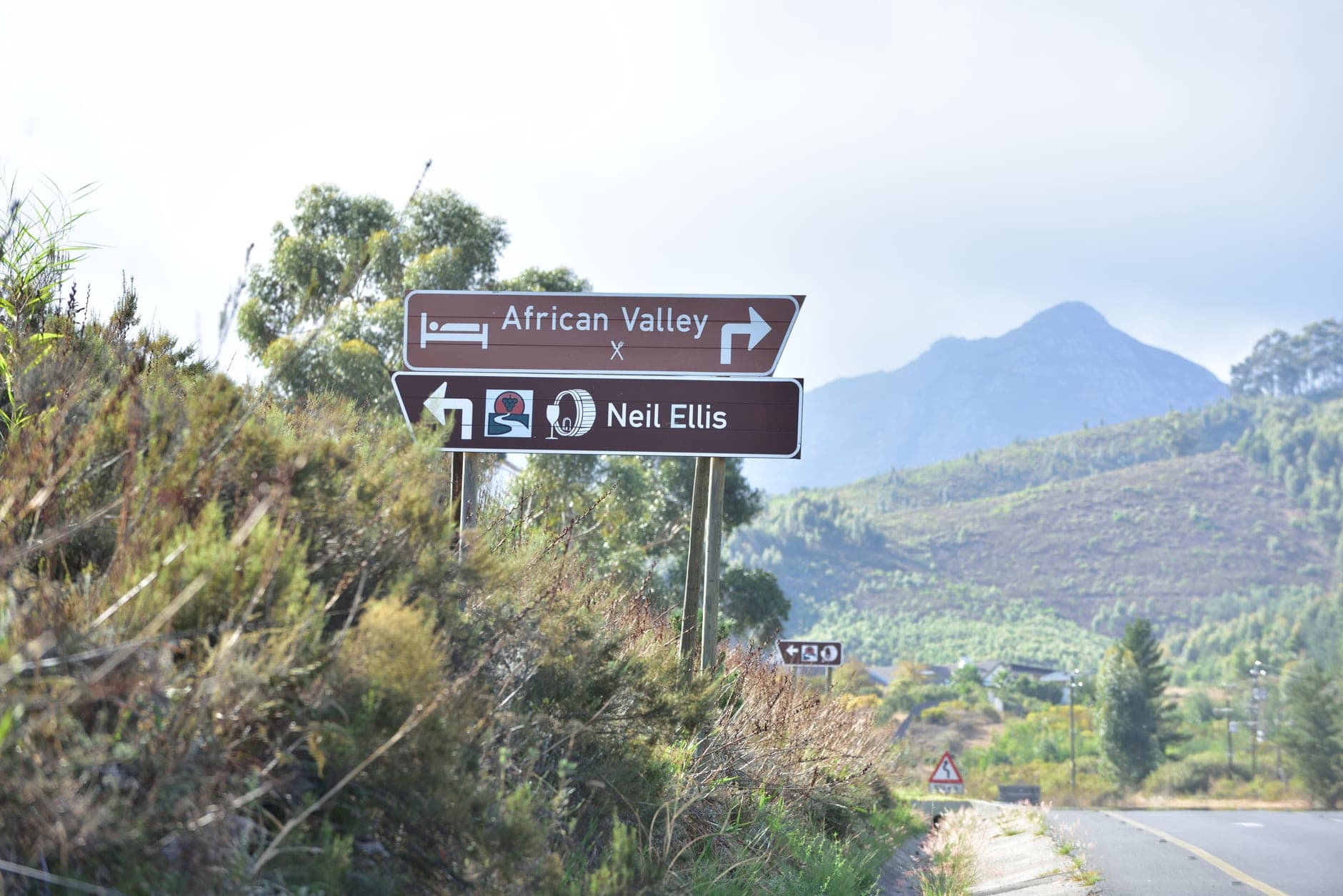 Stellenbosch Wine Travel Guide (Western Cape, South Africa)