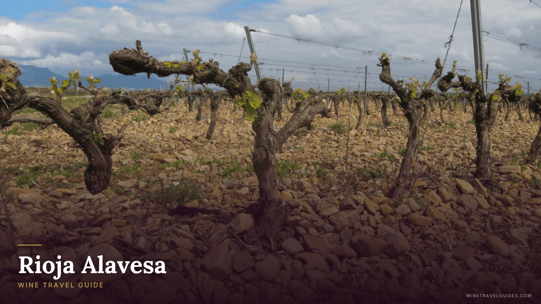 Rioja Alavesa Wine Travel Guide (Rioja, Spain)