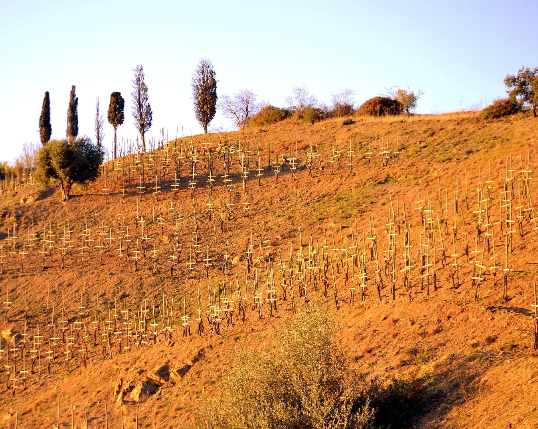 Gratallops Wine Travel Guide (Priorat, Spain)