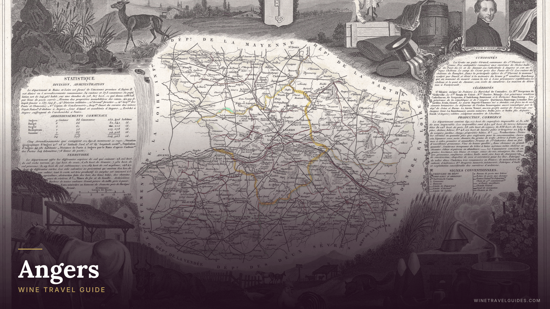 Angers Wine Travel Guide (Loire Valley, France)