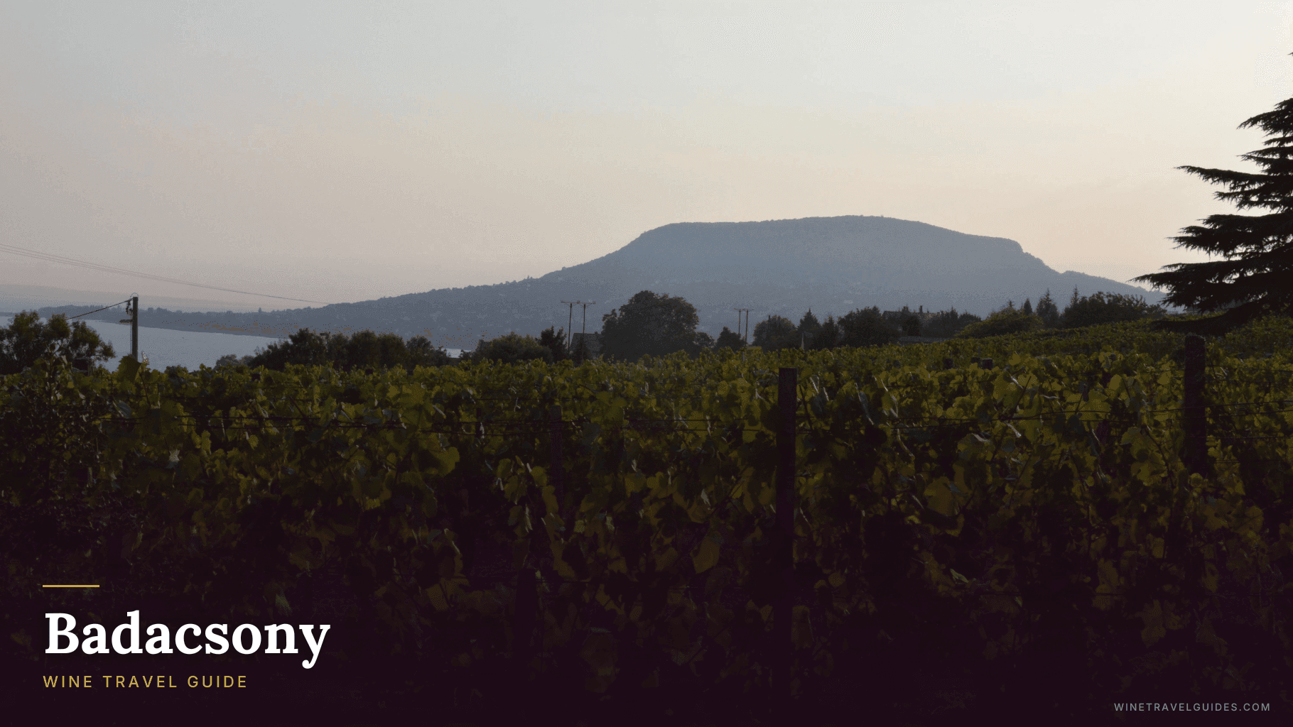 Badacsony Wine Travel Guide (Balaton, Hungary)