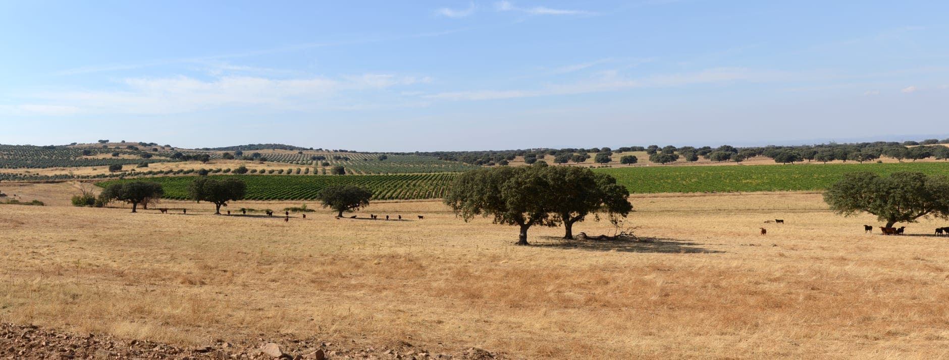Alentejo (Portugal)