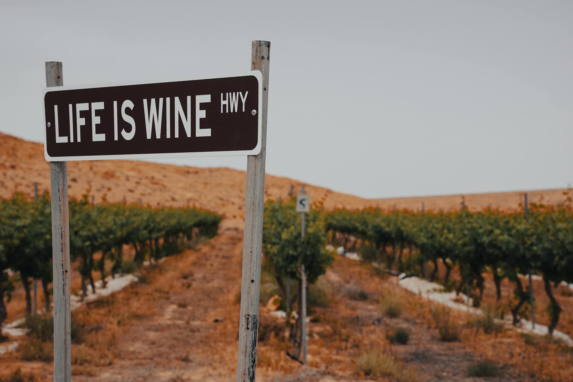 14 Days Spain Wine Road Trip — Rioja, Ribera, Rias Baixas