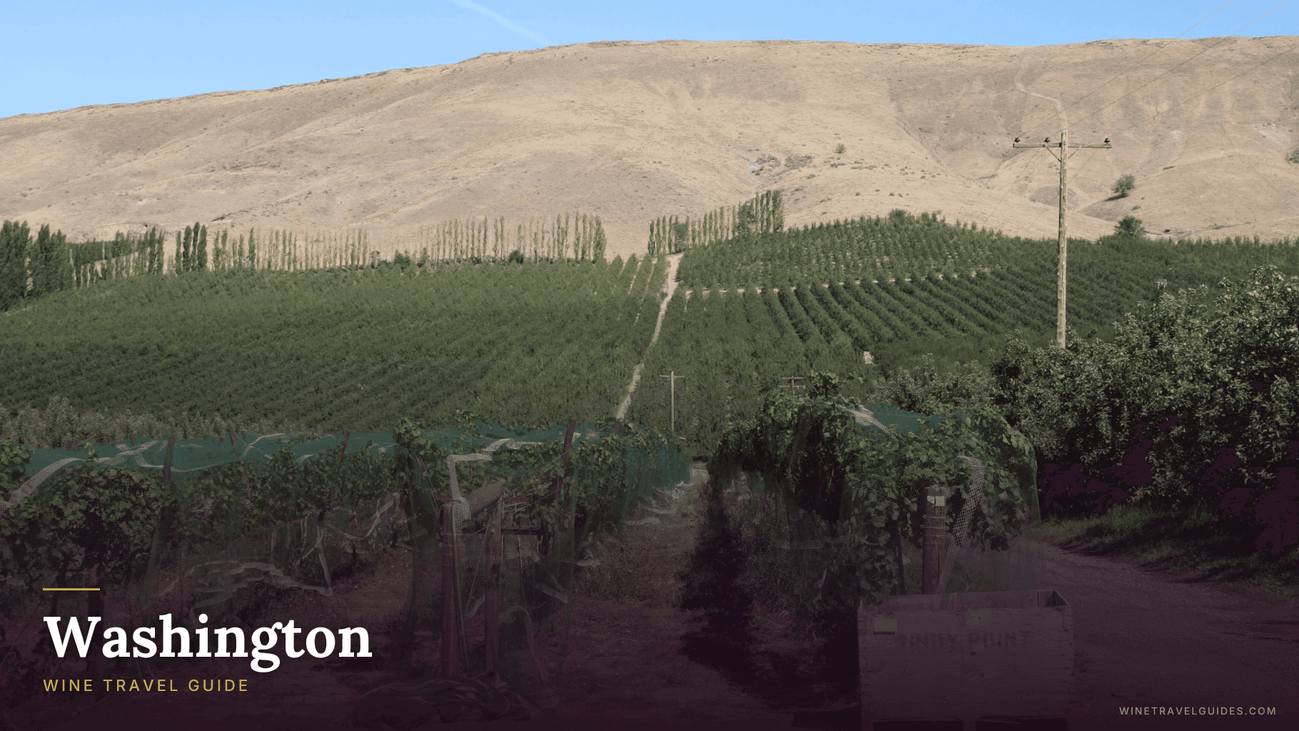 Washington (United States)