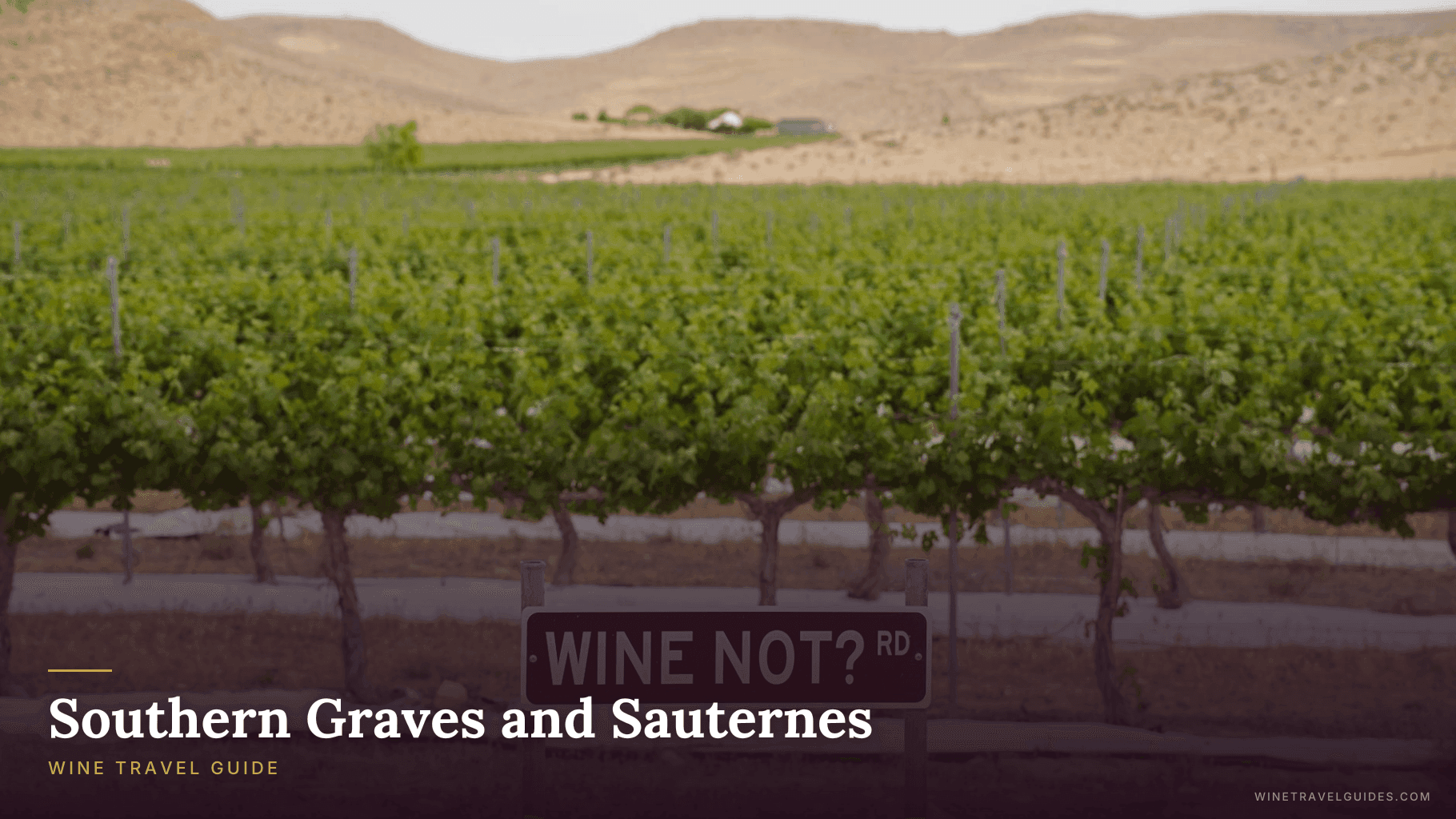 Southern Graves and Sauternes Wine Travel Guide (Bordeaux, France)