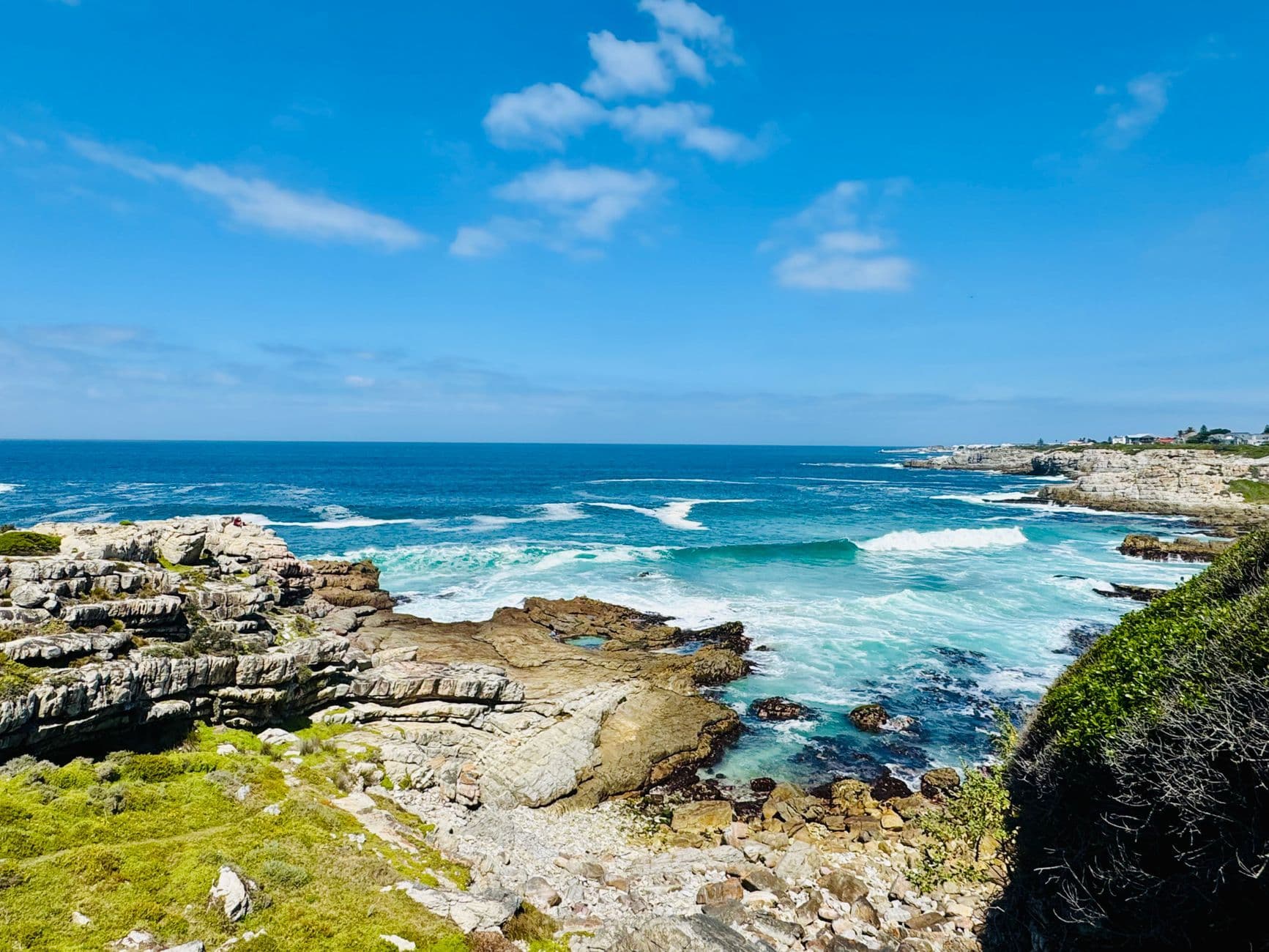 Walker Bay Wine Travel Guide (Western Cape, South Africa)