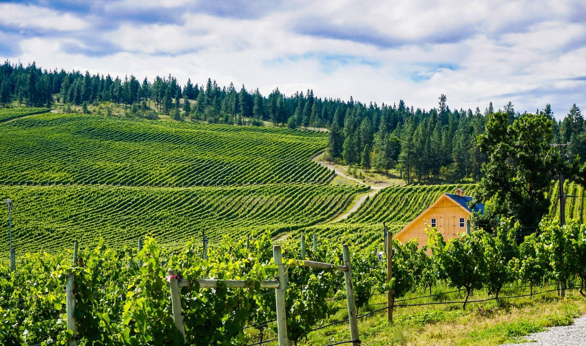 Columbia Valley Wine Travel Guide (Washington, United States)