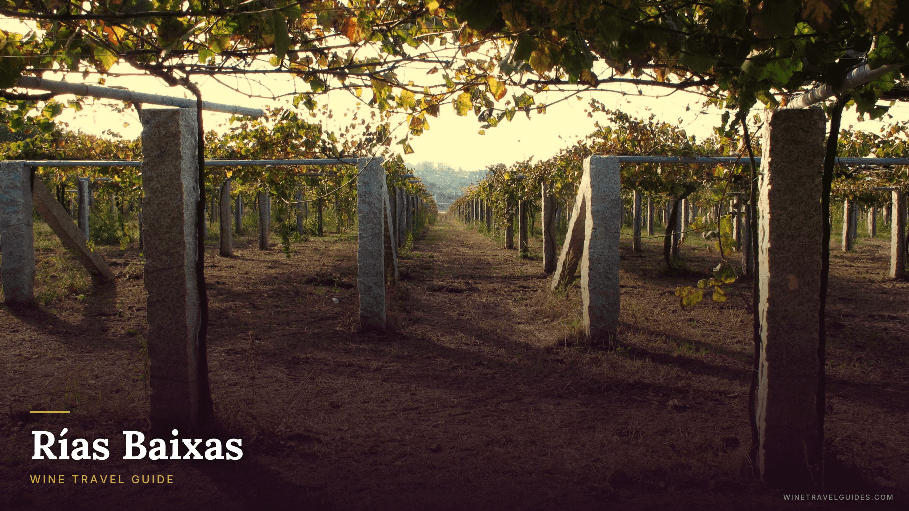 Rías Baixas Wine Travel Guide (Galicia, Spain)