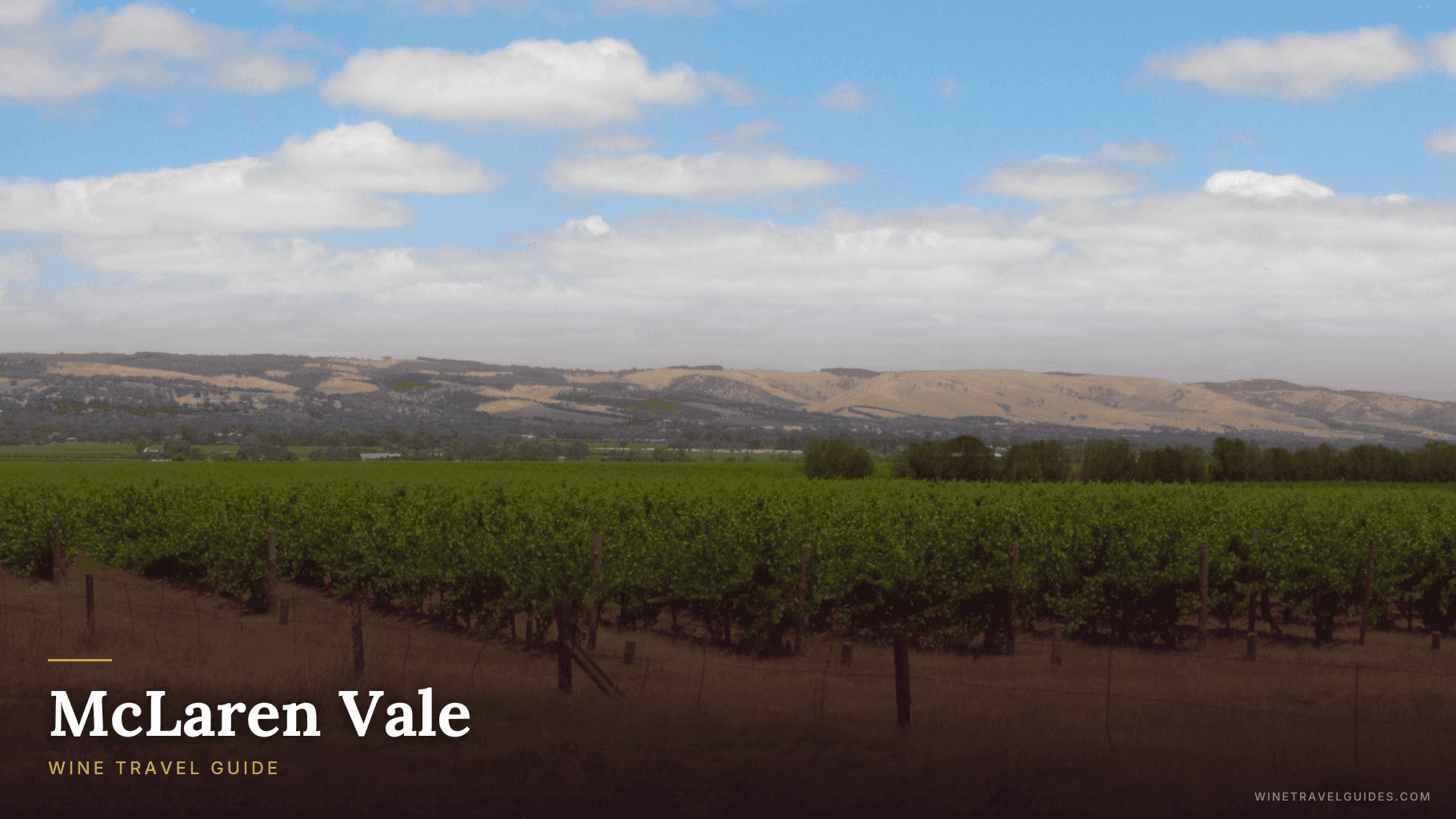McLaren Vale Wine Travel Guide (South Australia, Australia)