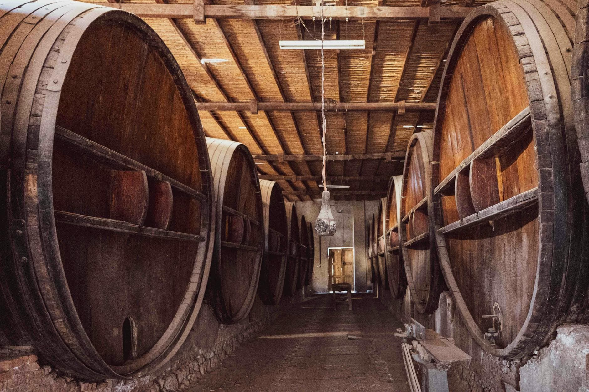 How to Visit a Winery — The Complete First-Timer's Guide