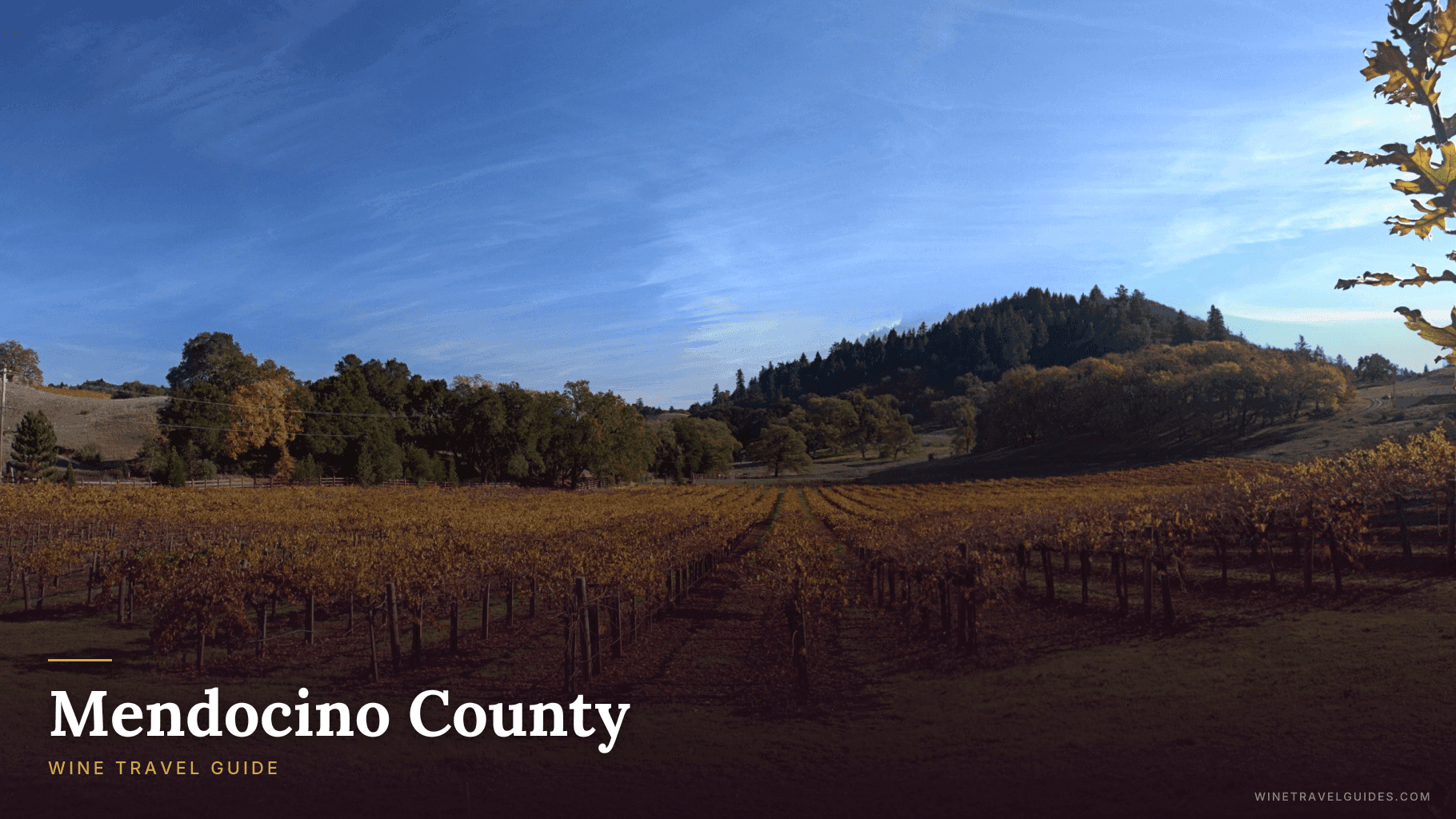 Mendocino County Wine Travel Guide (California, United States)