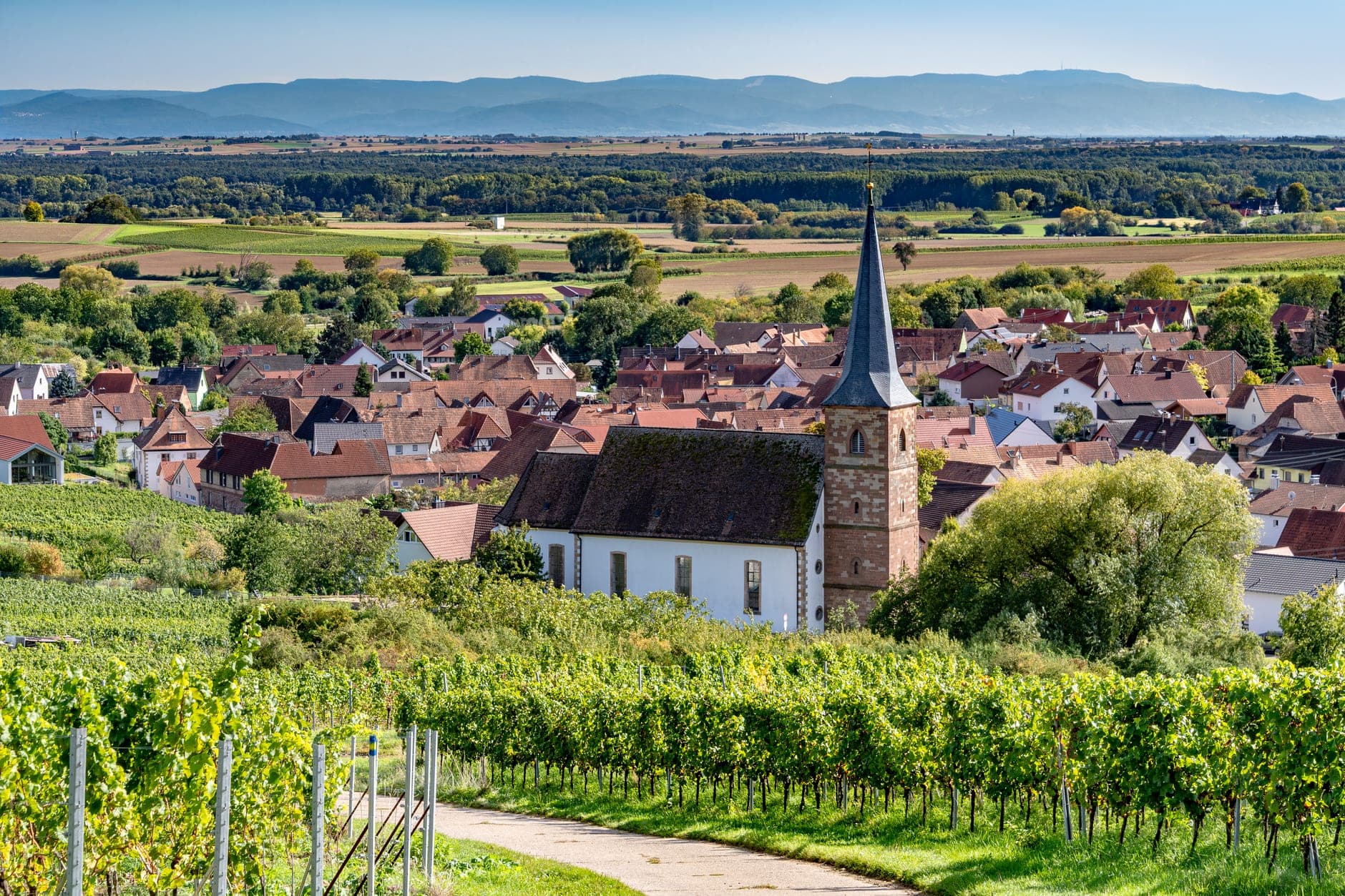 Central and Southern Dalmatia Wine Travel Guide (Dalmatia, Croatia)