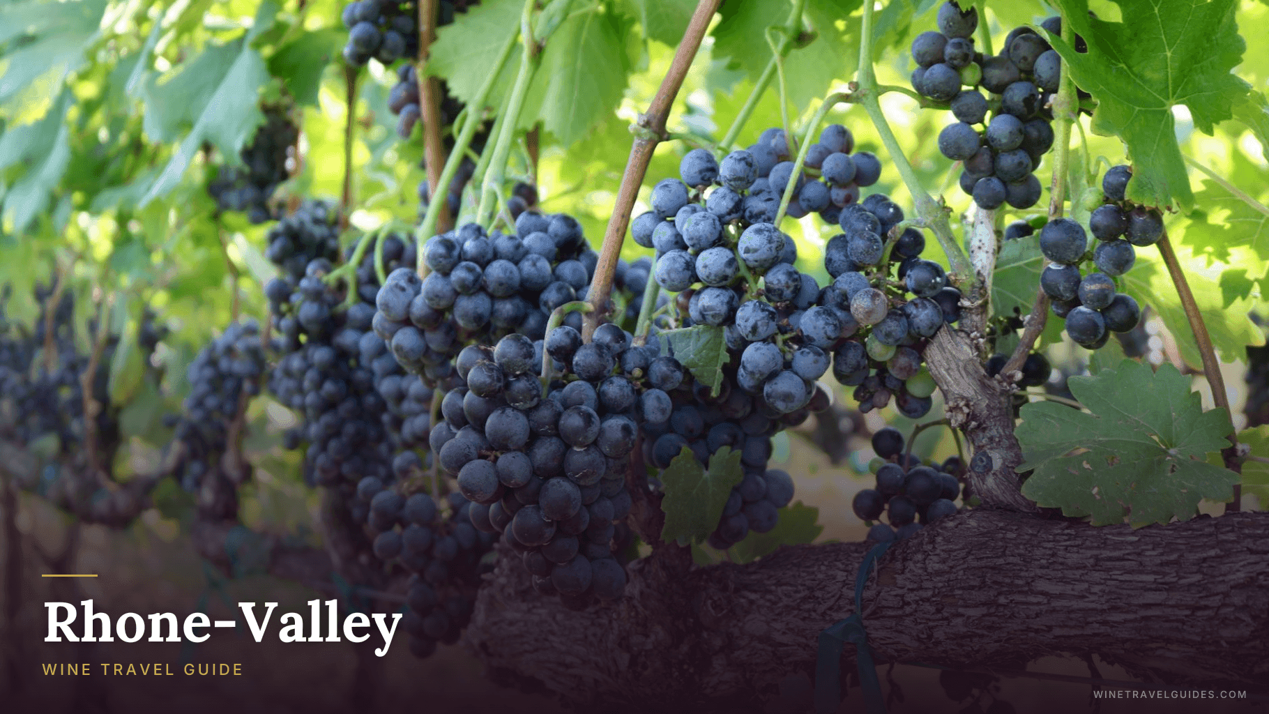 Rhone-Valley (France)