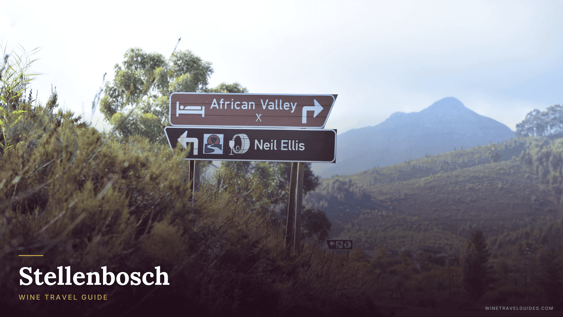Stellenbosch Wine Travel Guide (Western Cape, South Africa)
