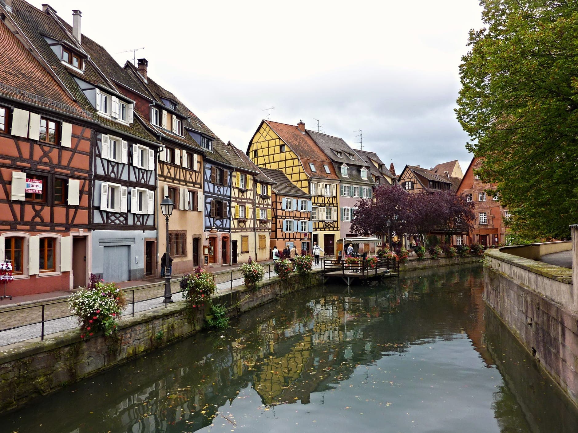 North of Colmar Wine Travel Guide (Alsace, France)