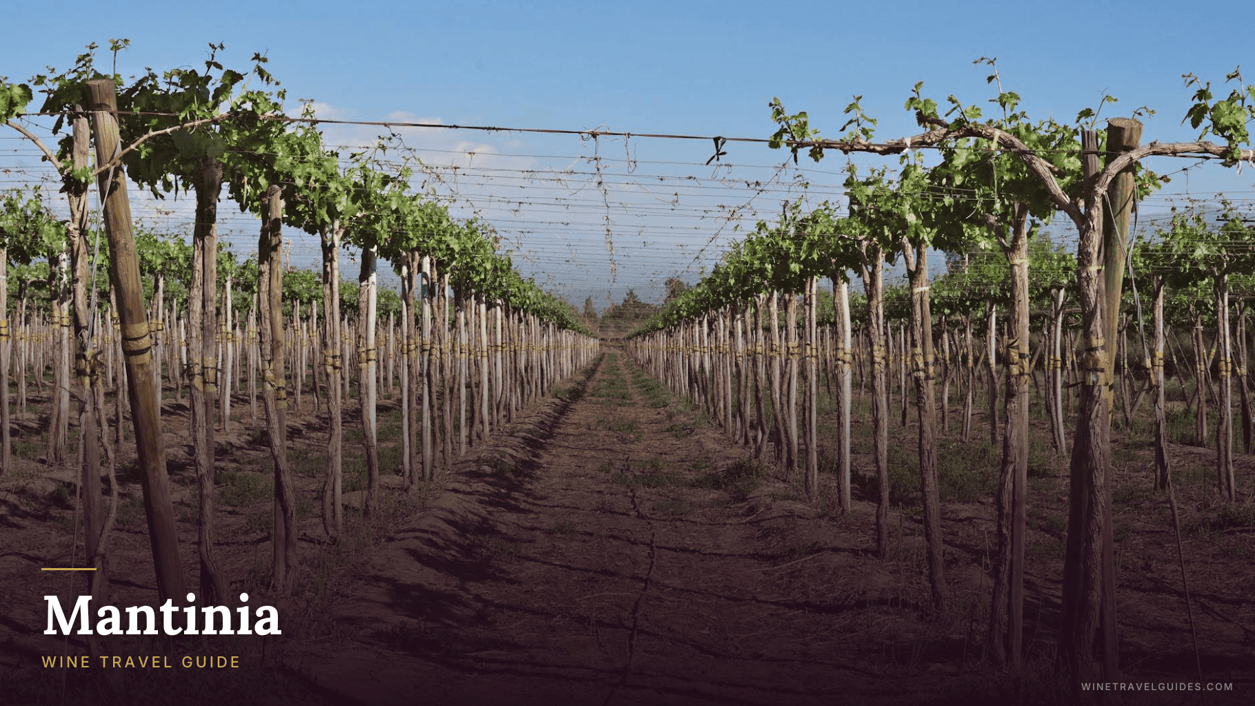 Mantinia Wine Travel Guide (Peloponnese, Greece)