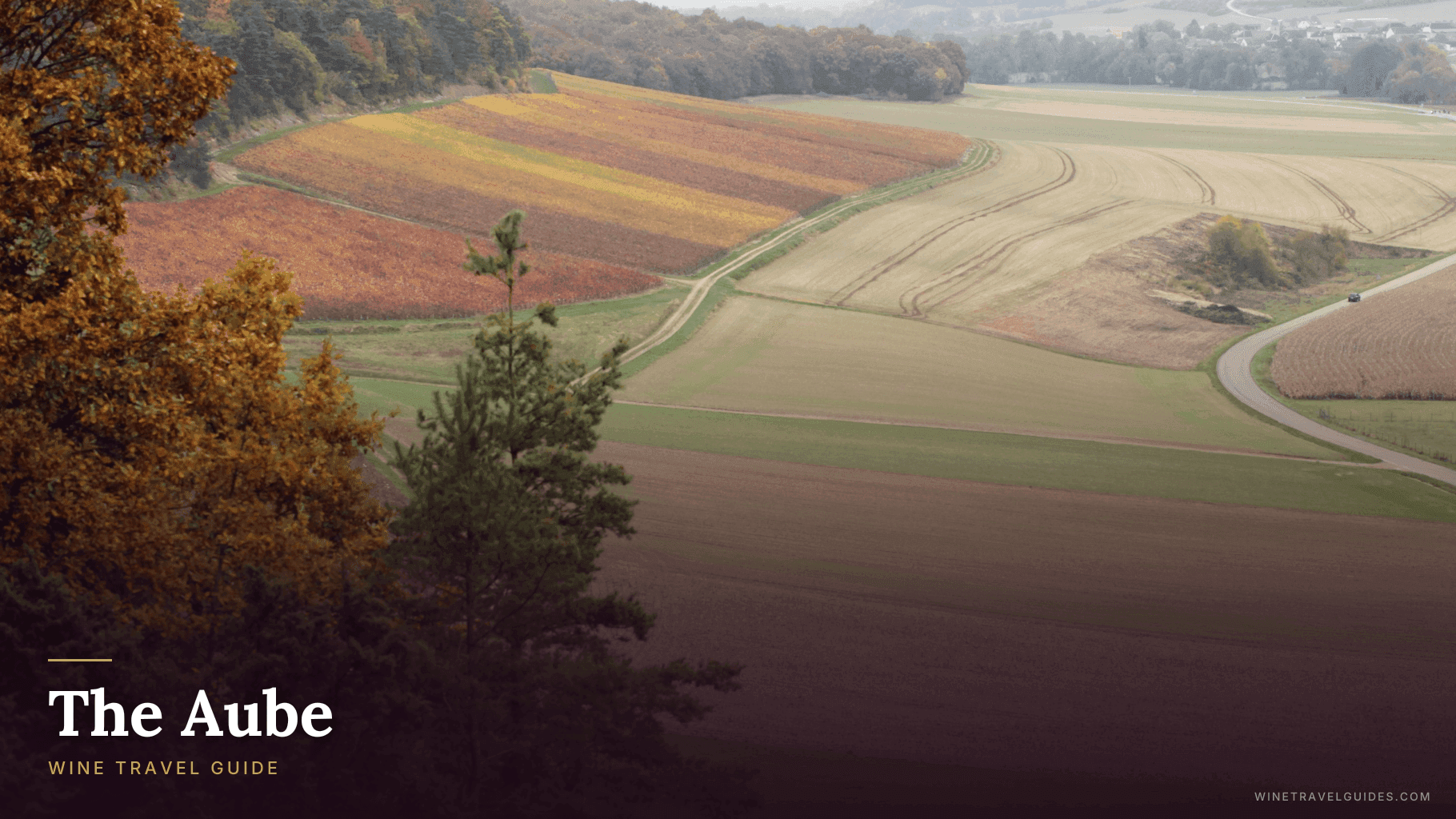 The Aube Wine Travel Guide (Champagne, France)