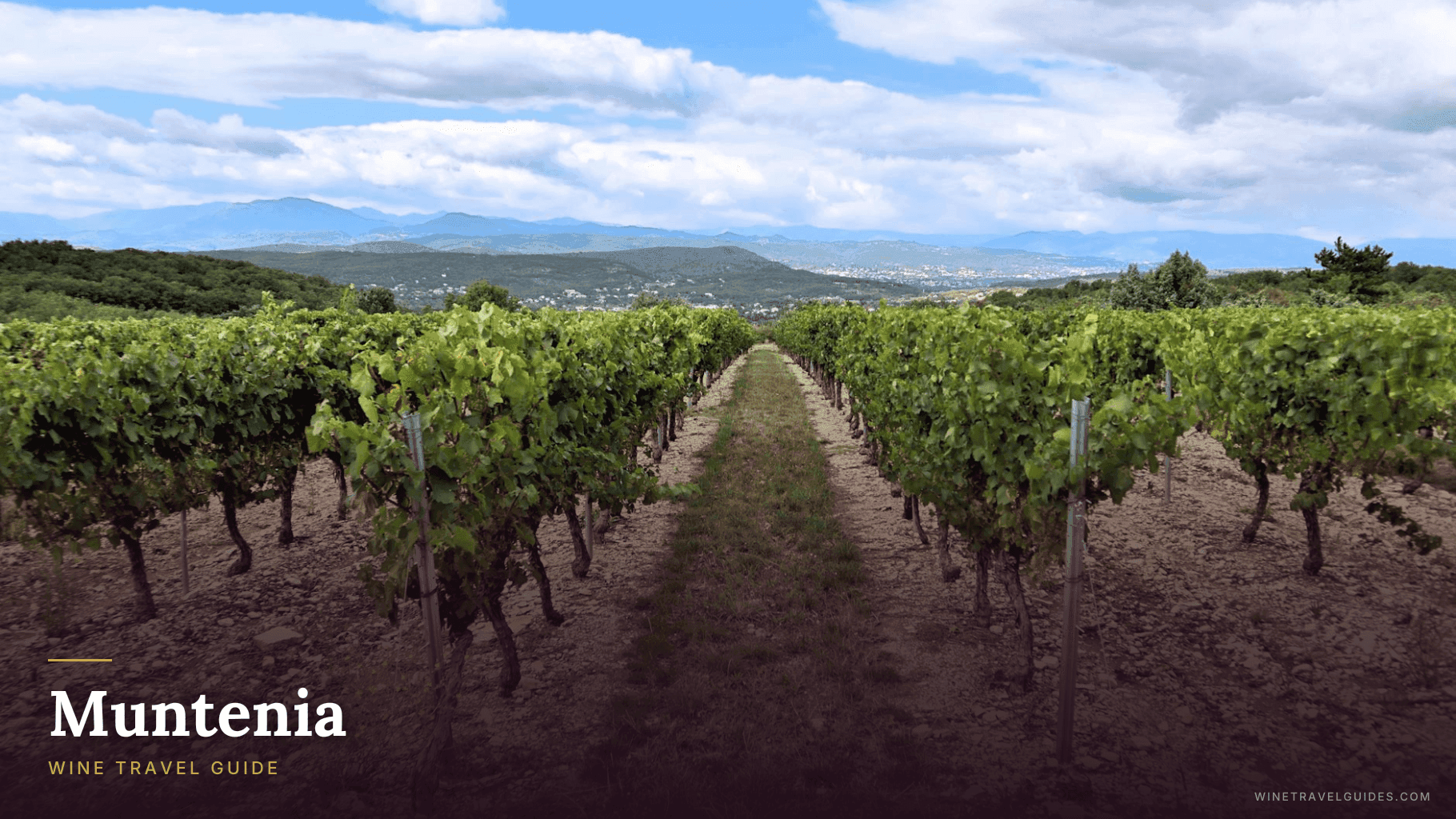 Muntenia (Romania)