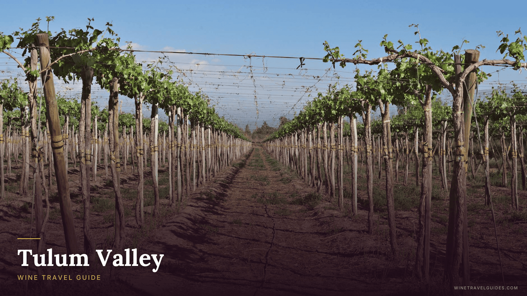 Tulum Valley Wine Travel Guide (San Juan, Argentina)