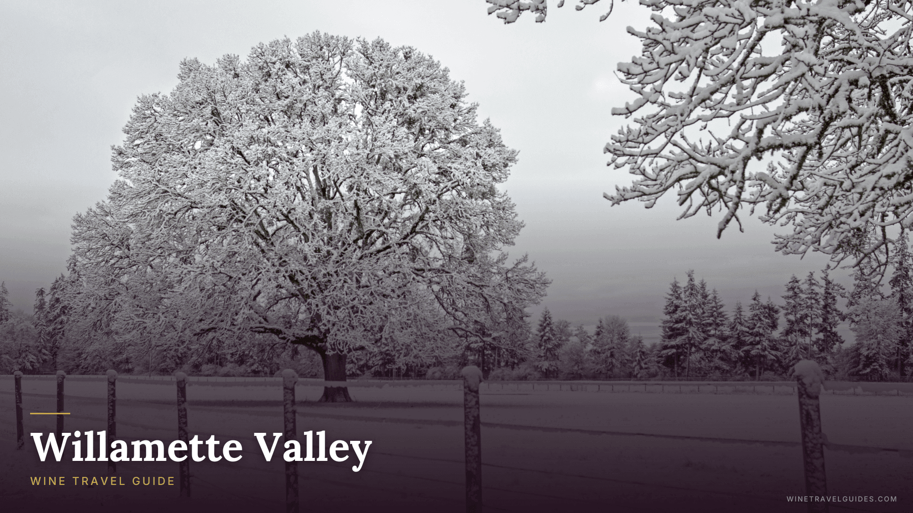 Willamette Valley Wine Travel Guide (Oregon, United States)