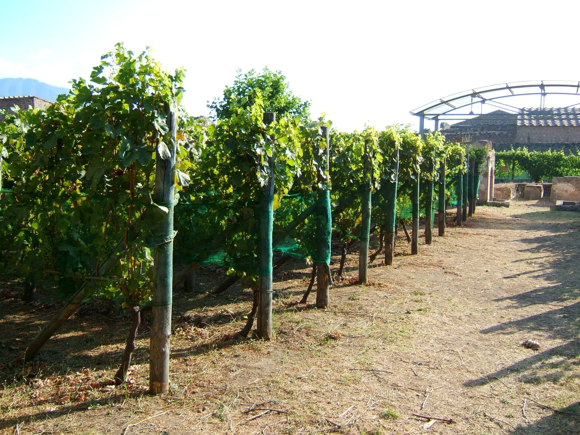 Campania