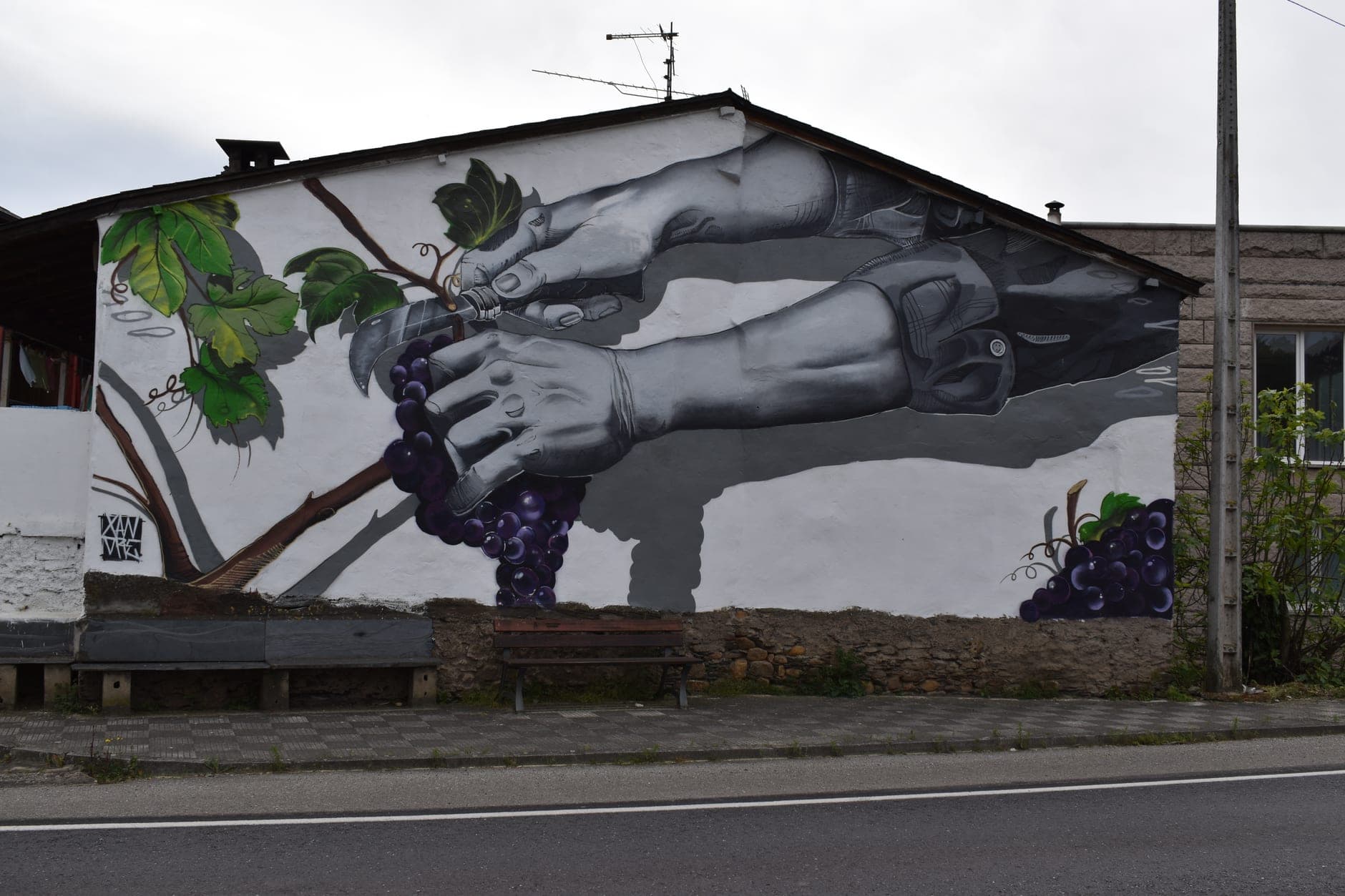 Valdeorras Wine Travel Guide (Galicia, Spain)
