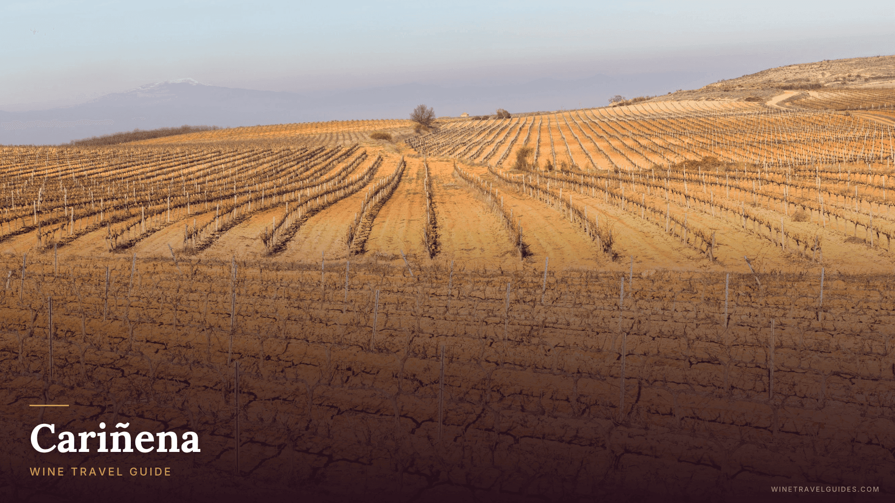 Cariñena Wine Travel Guide (Aragón, Spain)