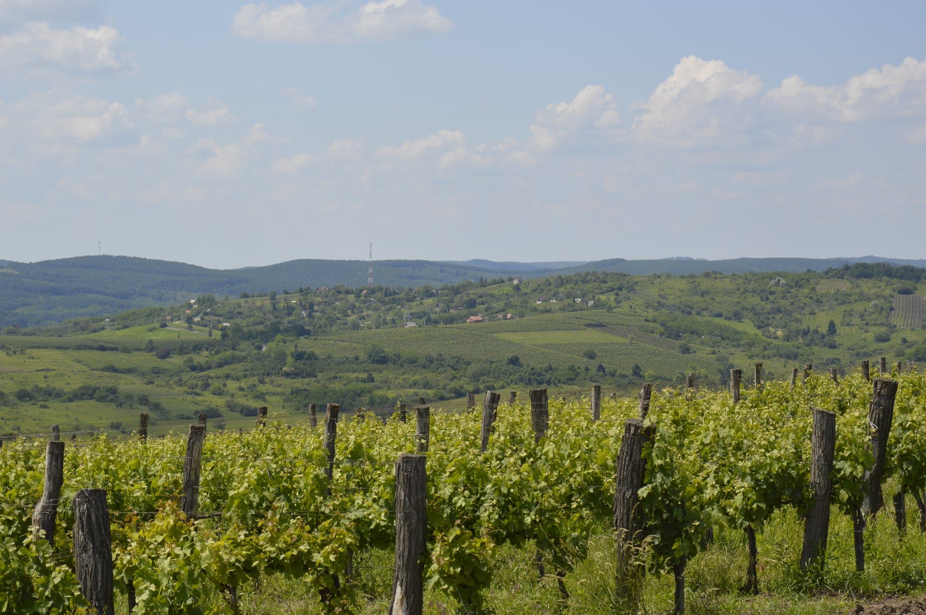 Eger (Hungary)