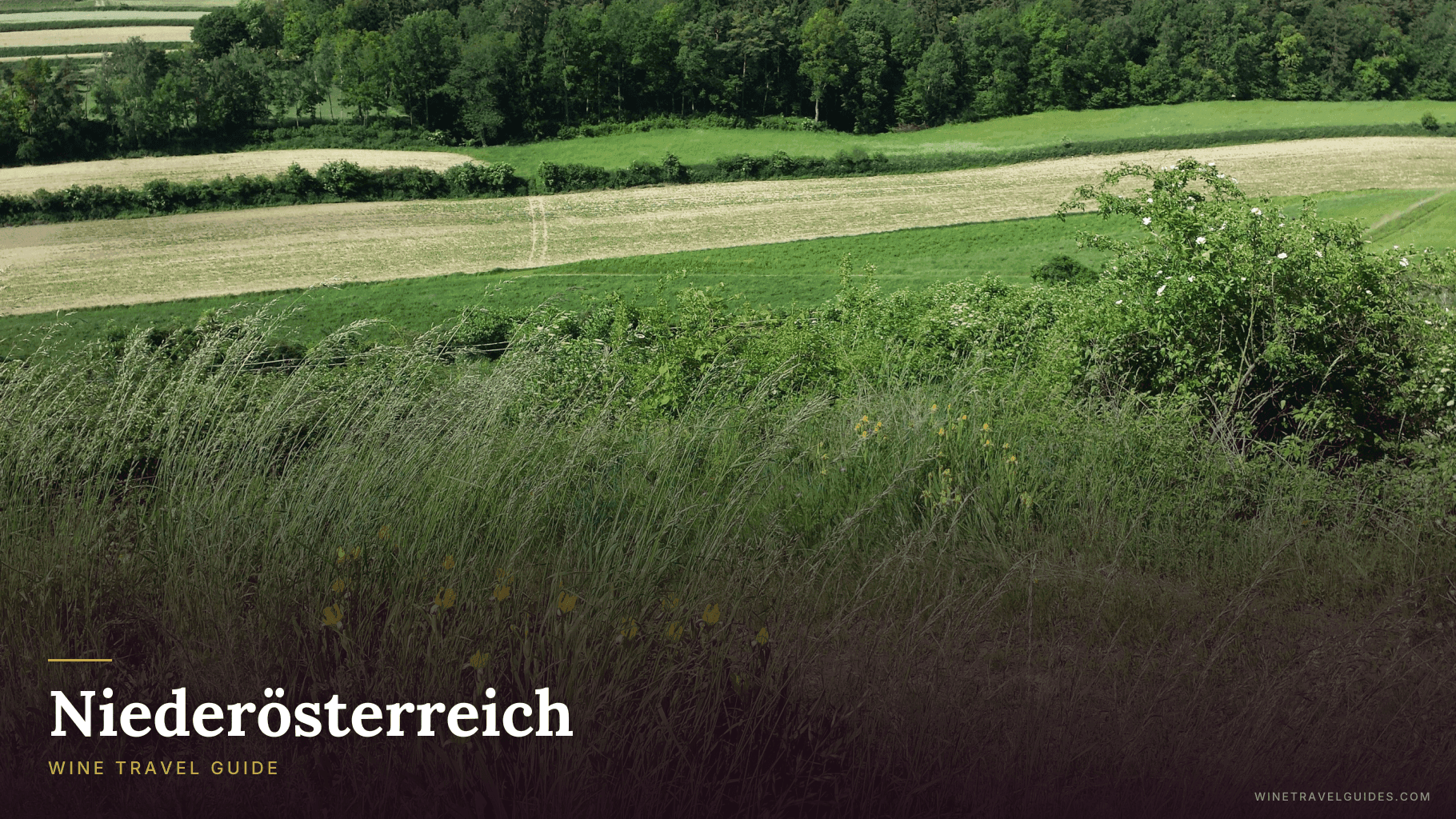 Niederösterreich (Austria)