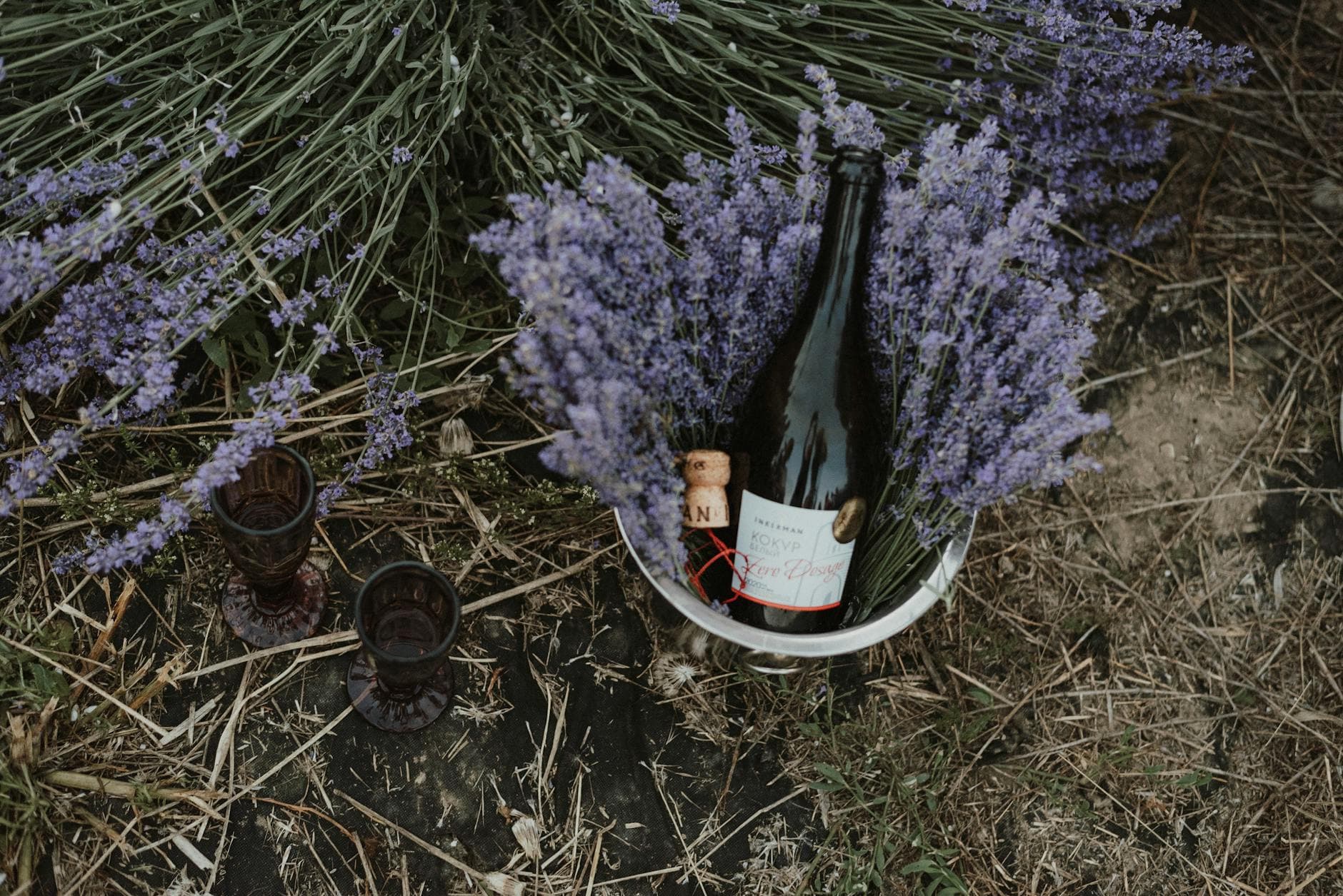 Champagne France Wine Guide: Visiting the Region, Best Houses & Cellar Tours