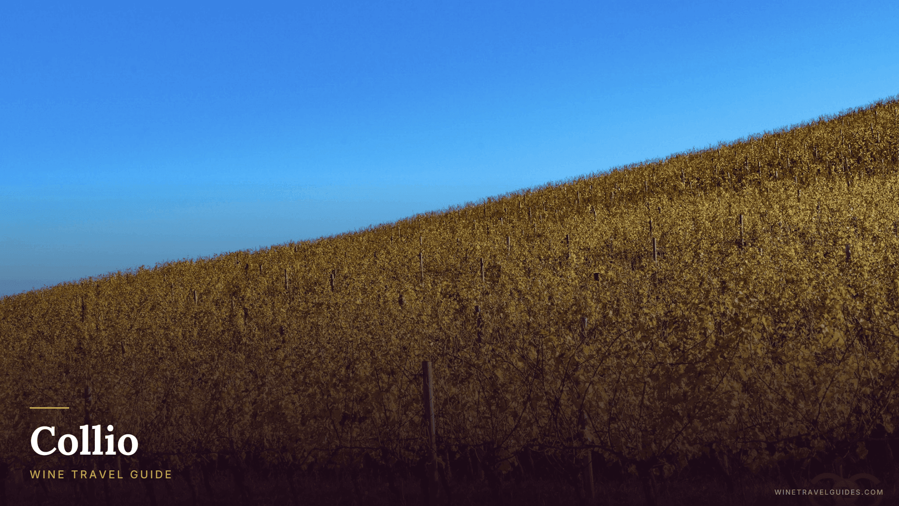Collio Wine Travel Guide (Friuli-Venezia Giulia, Italy)