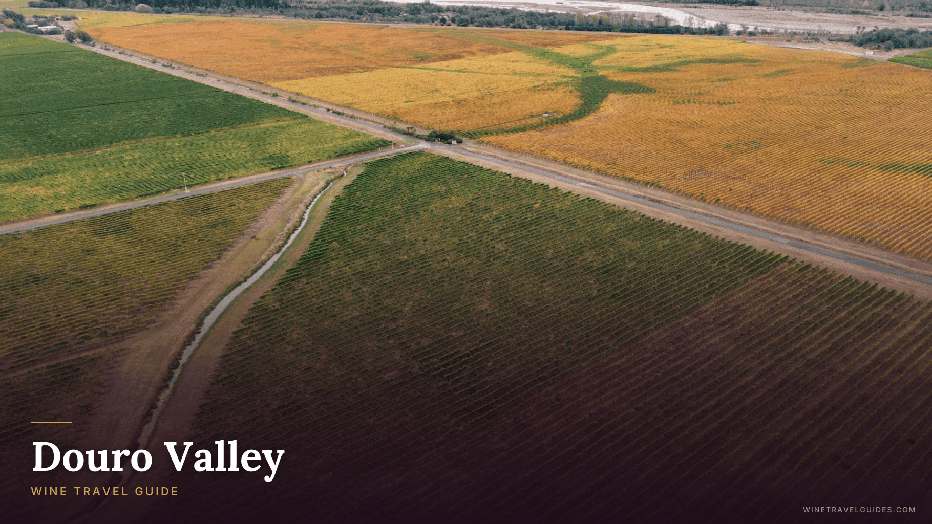 Douro Valley (Portugal)