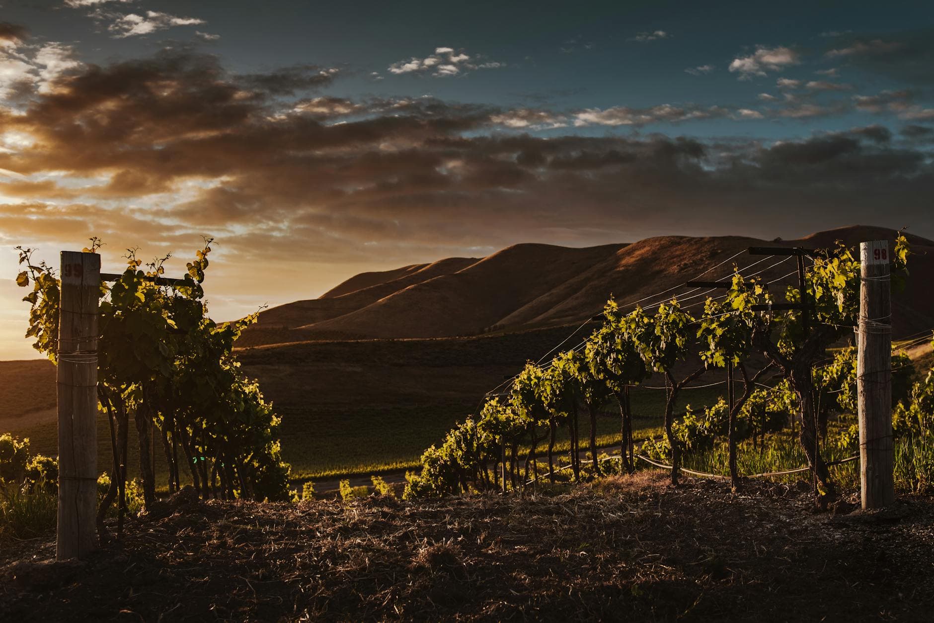 Where to Stay in Texas Hill Country Wine Country